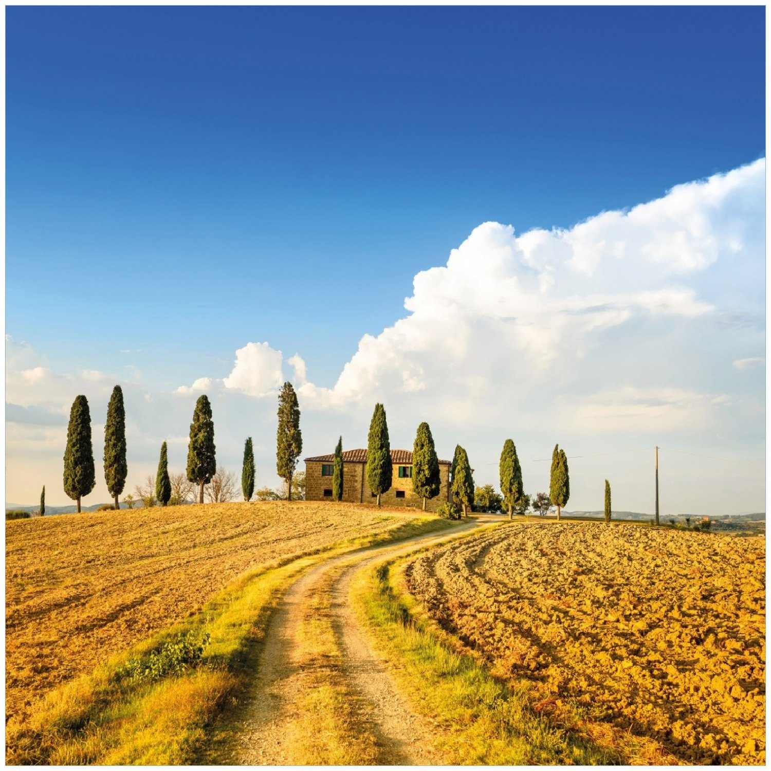 Memoboard unter Himmel - Farm Toskana einsame Wallario blauem Italien