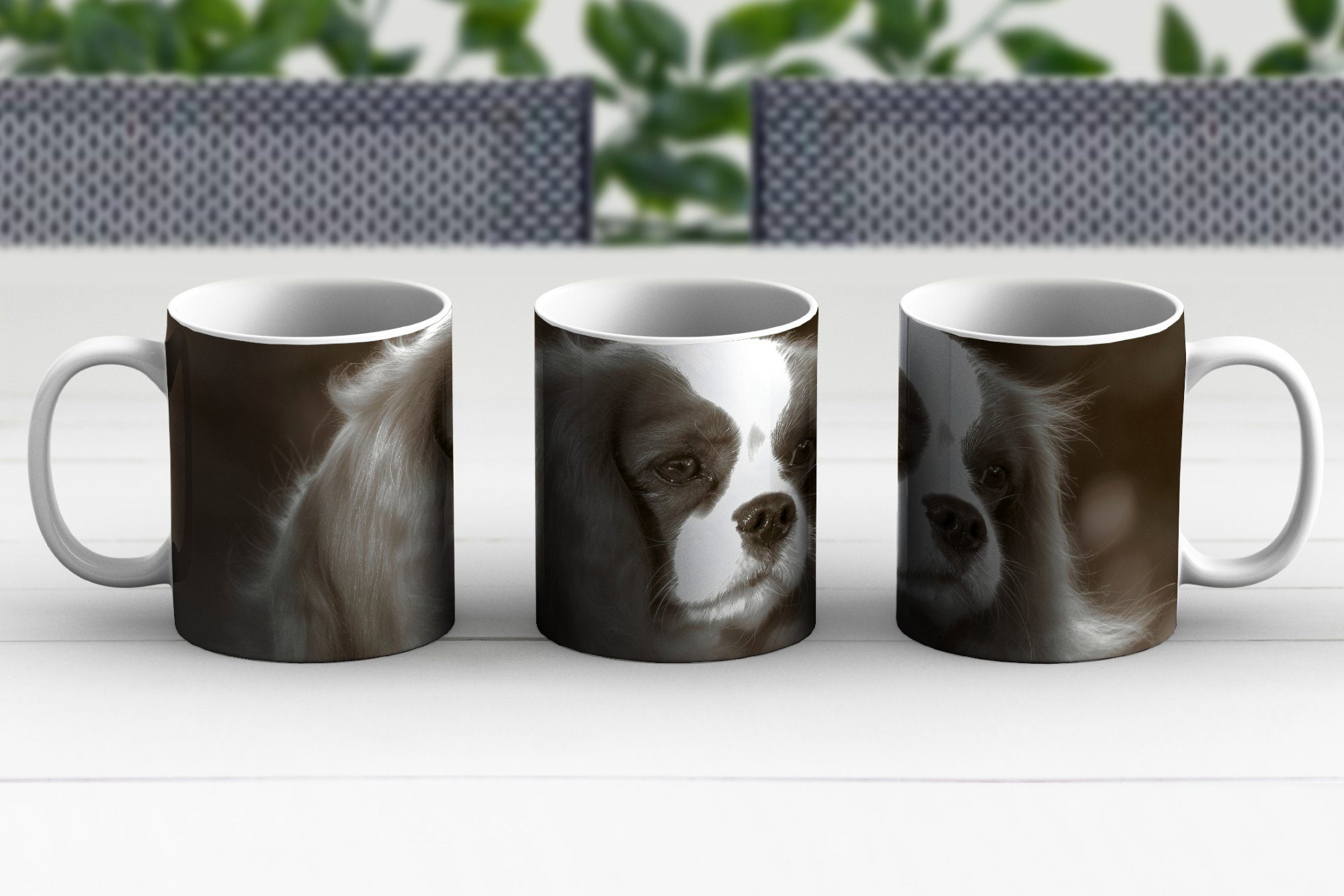 MuchoWow Tasse Schwarz-Weiß-Foto Kaffeetassen, Geschenk Cavalier Charles Teetasse, Becher, eines Keramik, Teetasse, Spaniels, King