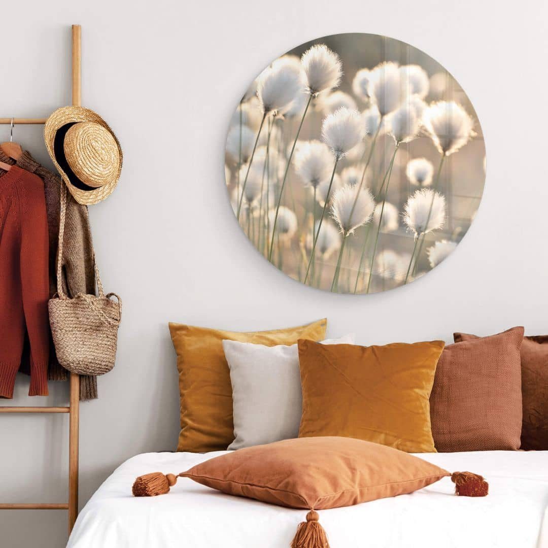 K&L Wall Art Glasbild Glas Wandbild Rund Glasbild Delgado Wollgras Katzenpfote Wiese, Wandschutz Deko Bilder