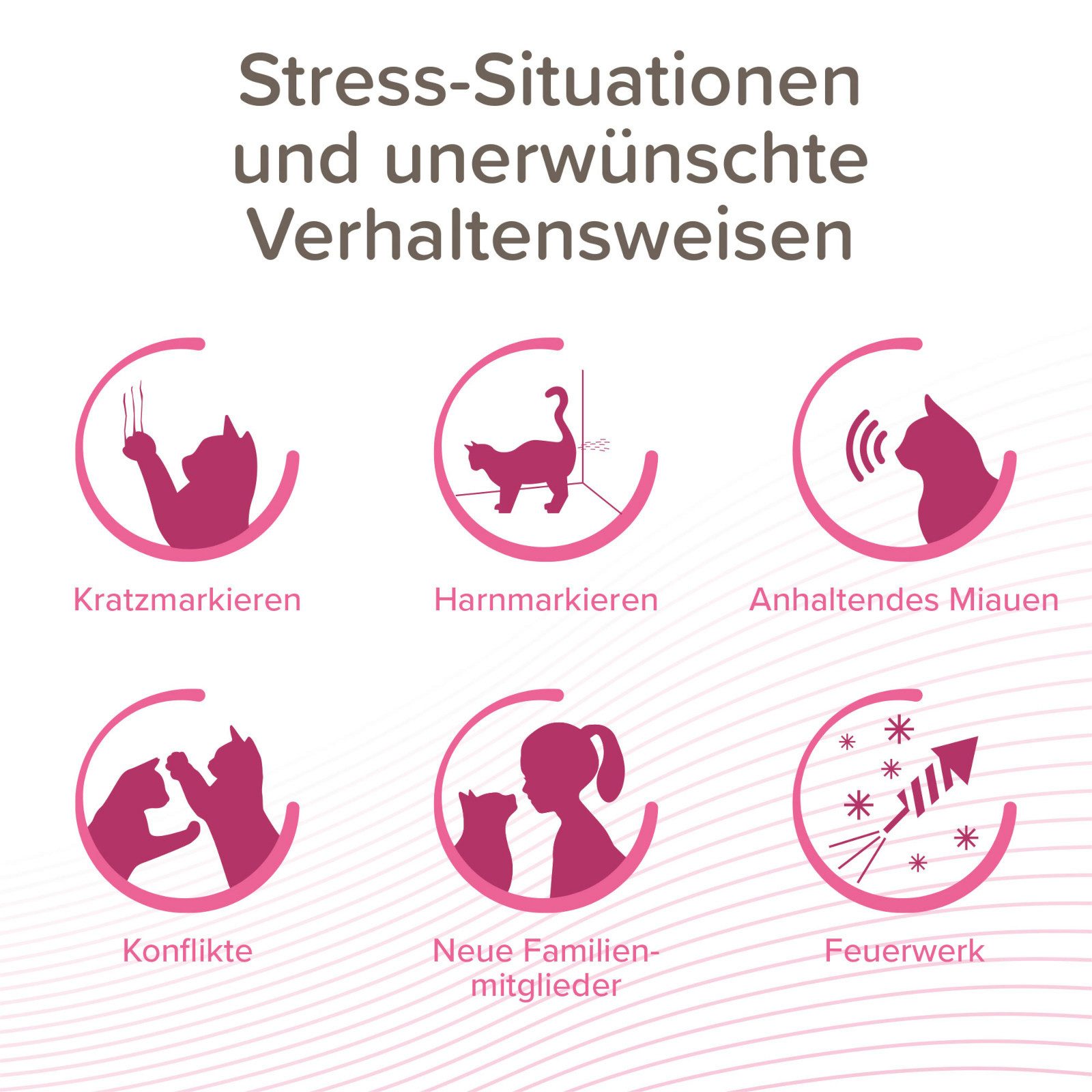 beaphar Tier-Beruhigungspheromone CatComfort Excellence Starter-Kit für Katzen gegen Stress & Ängste,...