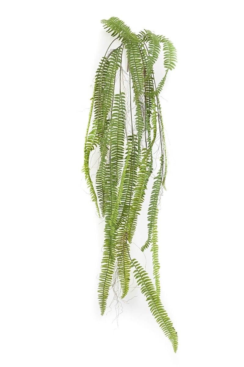 Künstliche Zimmerpflanze Schwertfarn BARGEN auf Steckstab, Wurzeln, hängend, grün, 150cm Farn (Schwertfarn), artplants, Höhe 150.0 cm