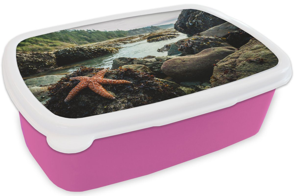 Kinder, Seesterne, Kunststoff, Brotdose Mädchen, - Erwachsene, MuchoWow rosa Brotbox Lunchbox für Kunststoff - Steine Snackbox, (2-tlg), Meer