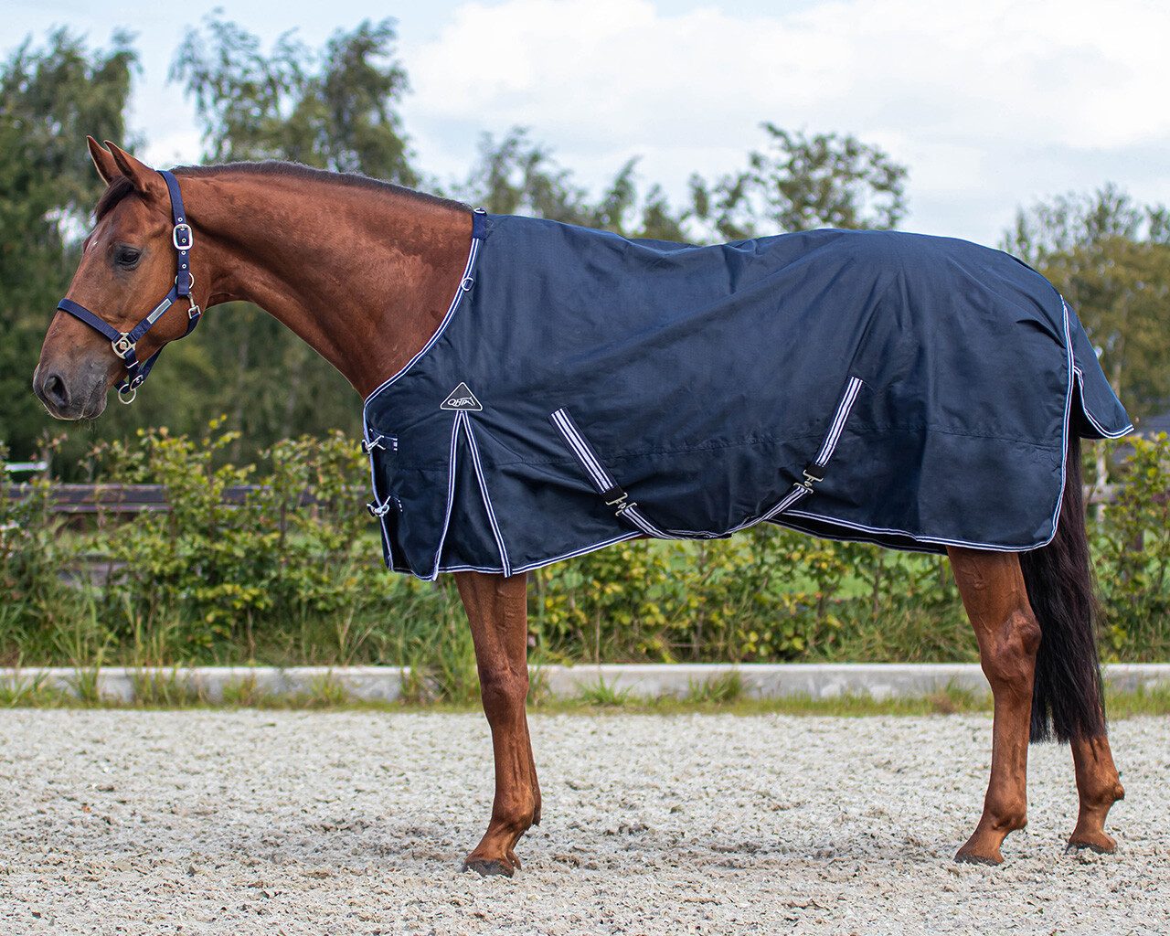 QHP Pferde-Regendecke Regendecke Turnout Luxus 0gr