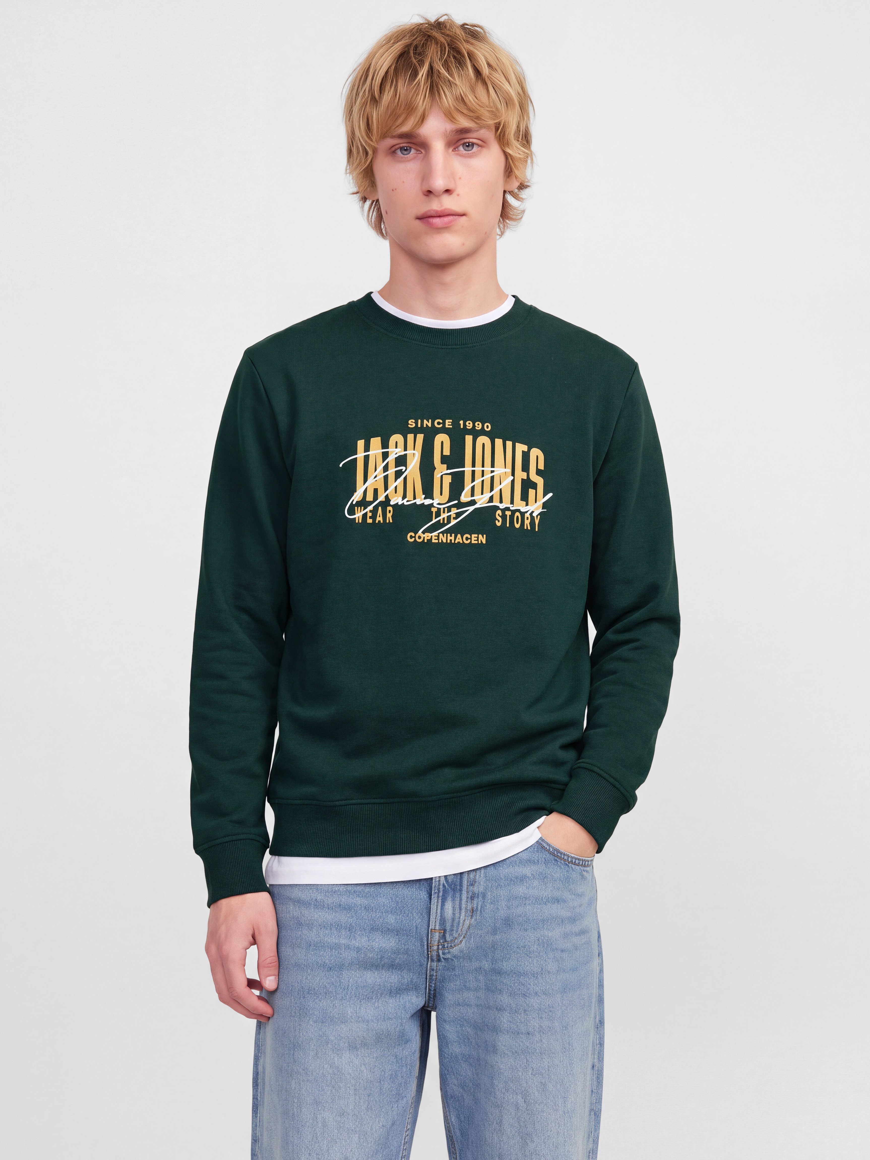Jack & Jones Sweatshirt JJAERO SWEAT CREW NECK Materialmix, regular fit – Bild 2 von 5