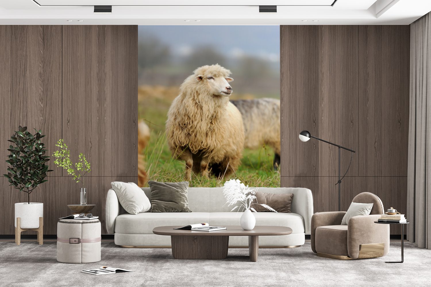 (3 Wandtapete Montagefertig Wohnzimmer, Gras, Matt, bedruckt, Vinyl St), MuchoWow Schafe Wolle Fototapete für - Tapete -