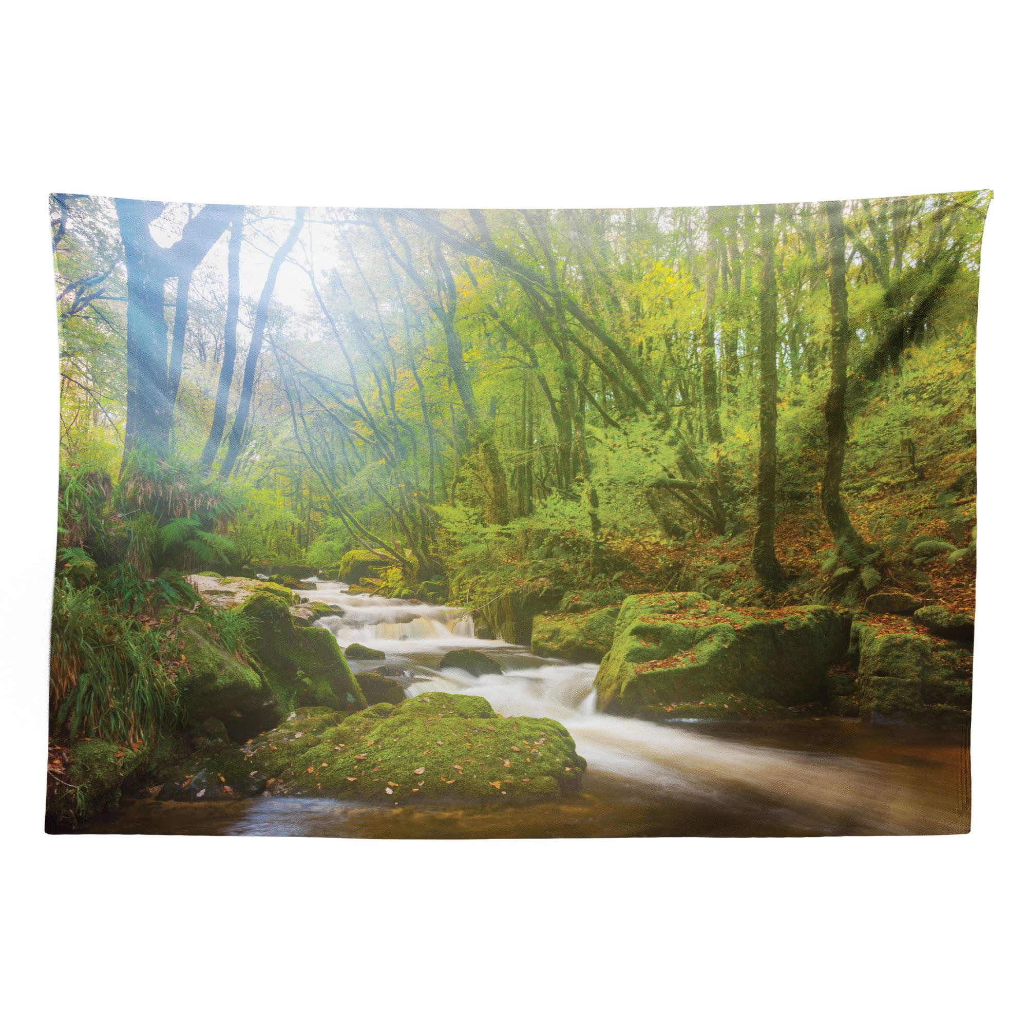 Abakuhaus Wandteppich aus Weiches Mikrofaser Stoff Für das Wohn und Schlafzimmer, rechteckig, Grün Wald in Golitha Falls