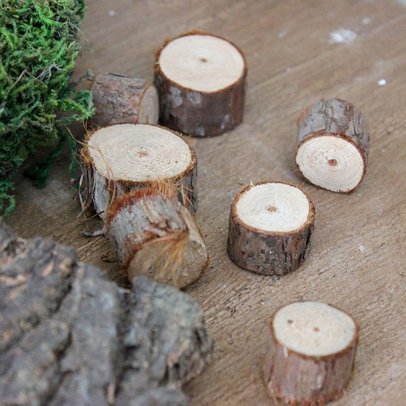 New Home Dekofigur Holz-Dekoscheiben zum Basteln Holzscheiben Baumscheiben Bastelholz Dek