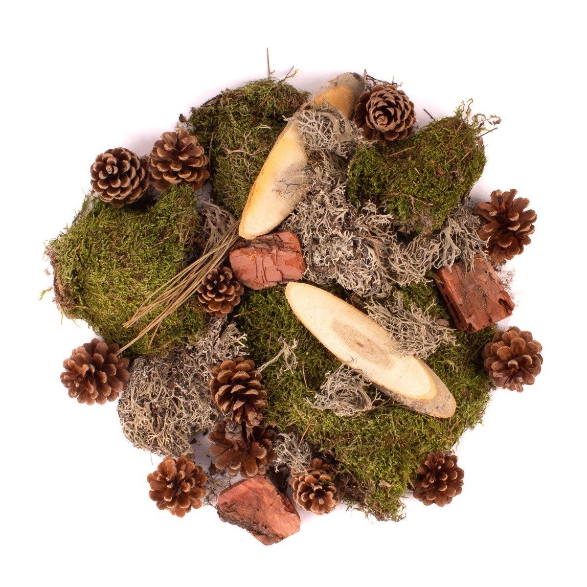 INNA-Glas Streudeko Dekomoos QUIKISA, Zapfen, Holz, Flechten, grün-braun, 500g
