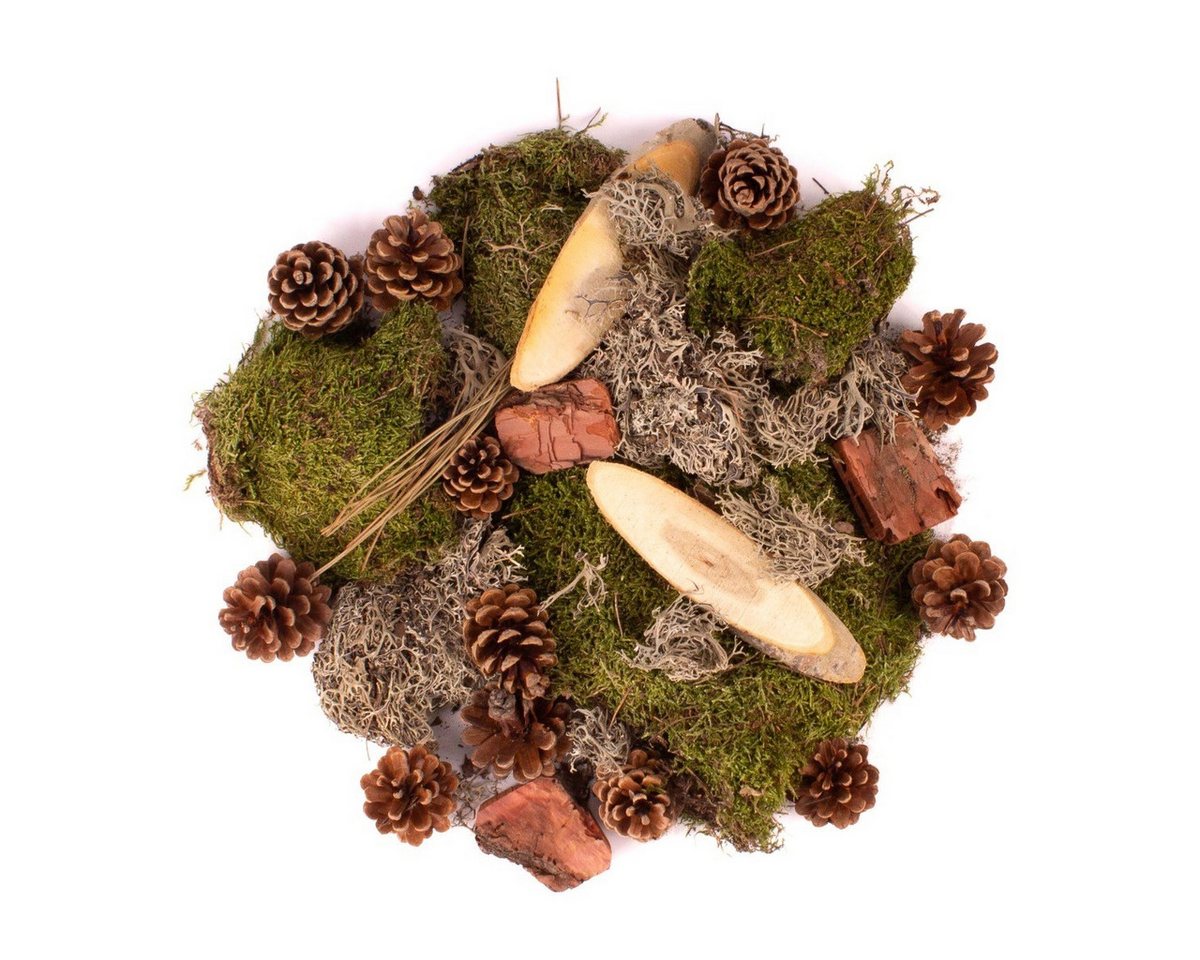 INNA-Glas Streudeko Dekomoos QUIKISA, Zapfen, Holz, Flechten, grün-braun, 500g