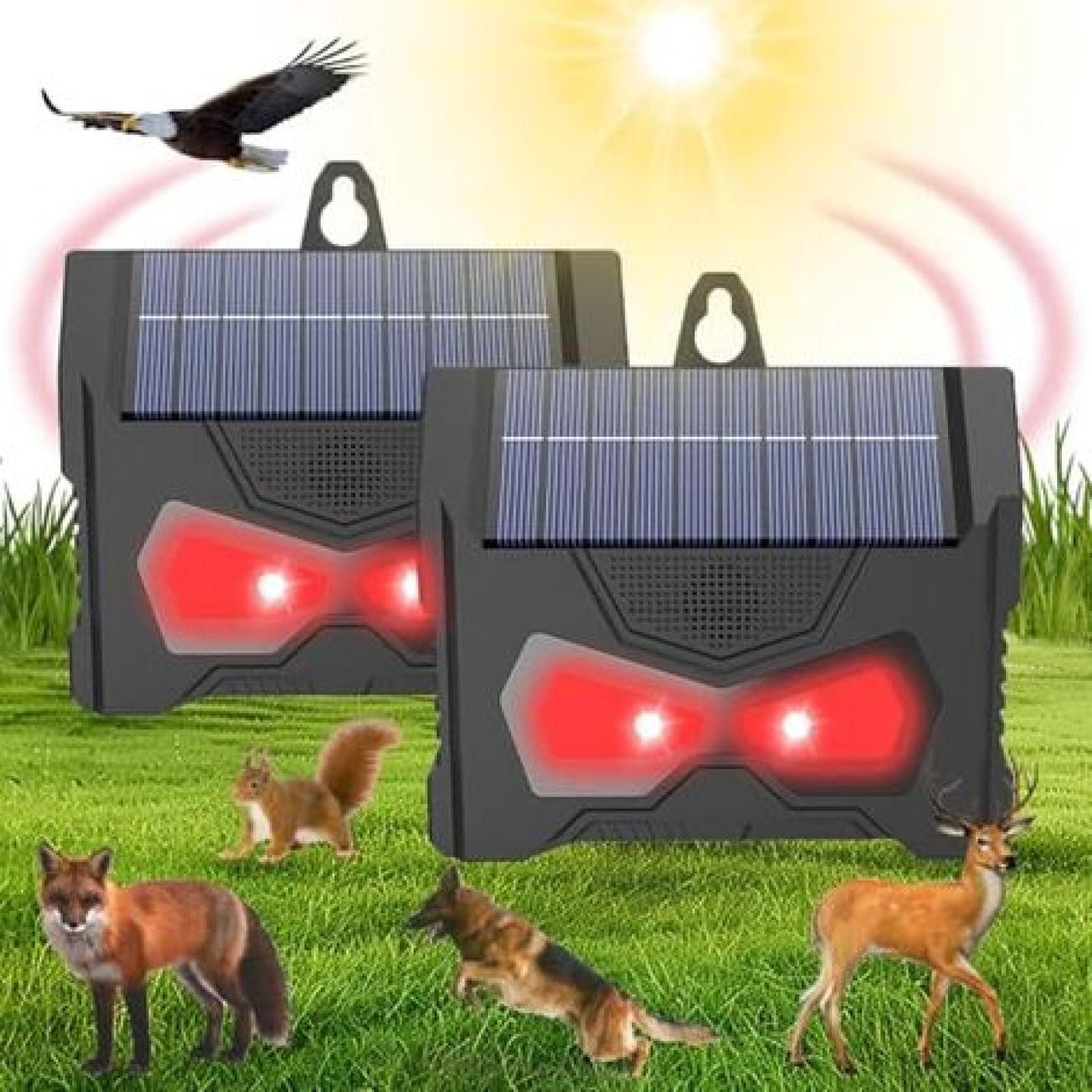 FELIXLEO LED-Teelichter Set mit 2 solarbetriebenen raubtiersicheren Leuchten solarbetriebenes