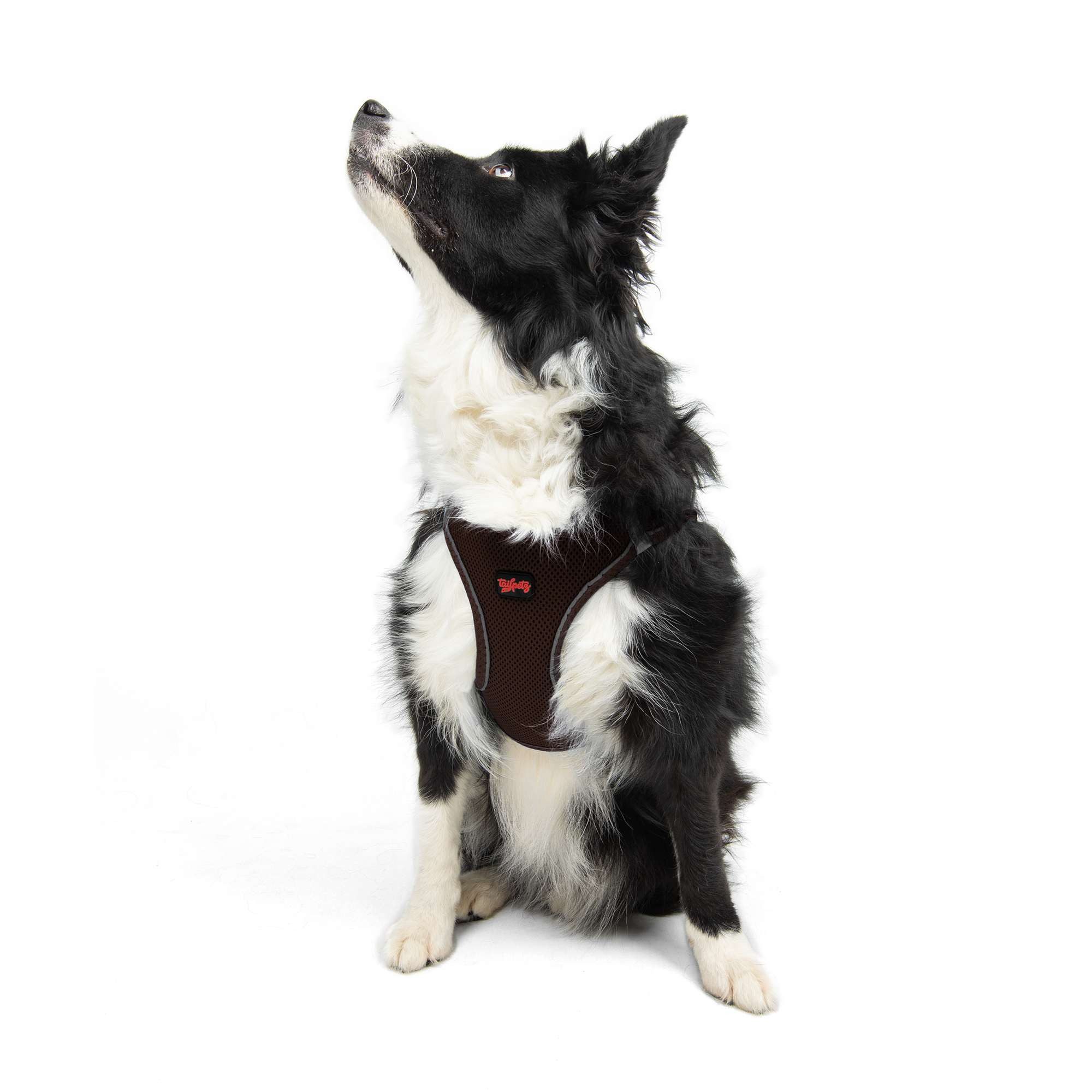 Jumeon Hunde-Geschirr Air Mesh - 3XS-2XS-XS-S GROßE, Strapazierfähig & langlebig, 100% POLYESTER, Komfortabel & sicher, Für kleine bis große Hunde