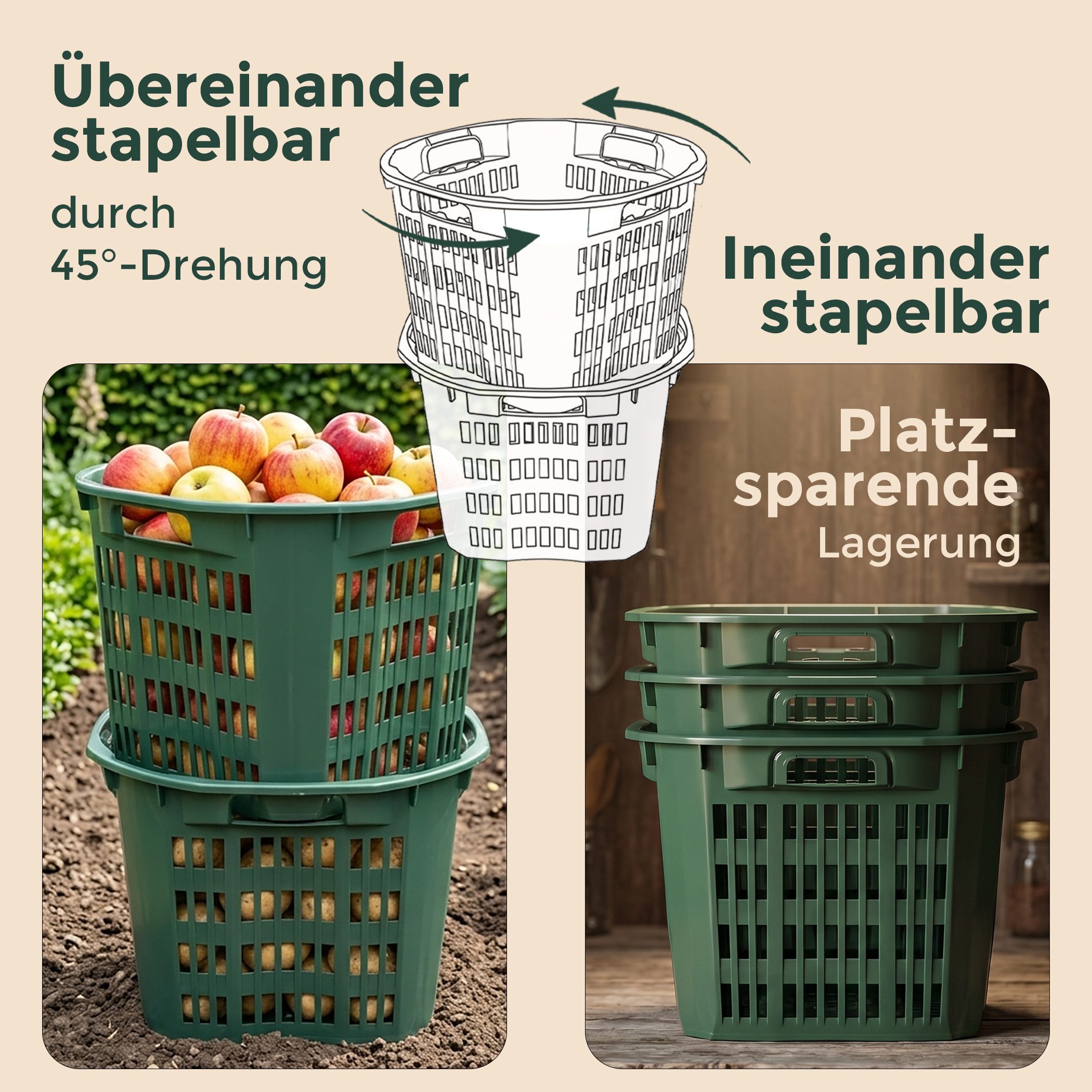 Hausfelder Allzweckkorb Erntekorb Gartenkorb, Grün, 25 Liter, 1 Stück (1er Set, 1 St), lebensmittelecht und stabil aus Kunststoff