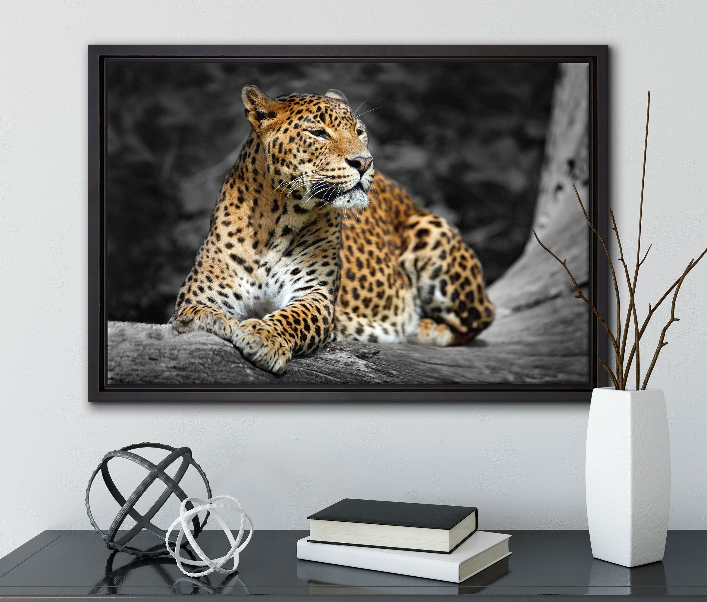gefasst, Zackenaufhänger Leinwandbild Wanddekoration in einem fertig bespannt, St), in Leopard der inkl. Wunderschöner Schattenfugen-Bilderrahmen Natur, Pixxprint Leinwandbild (1