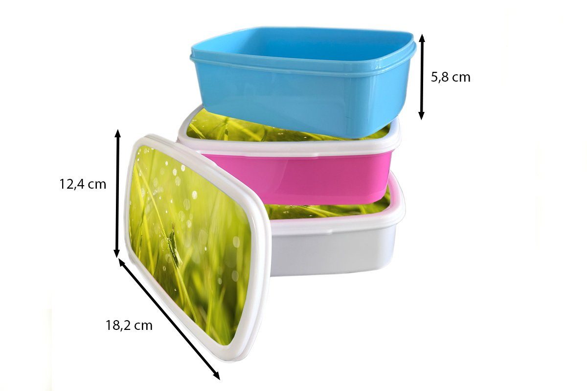 MuchoWow Lunchbox Grashüpfer Brotbox - Kunststoff, Kunststoff Gras Grün, rosa Kinder, für Snackbox, (2-tlg), - Mädchen, Brotdose Erwachsene
