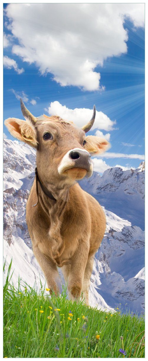 Wallario Glasbild, Kuh im Sonnenschein in den Alpen, in verschiedenen Ausführungen