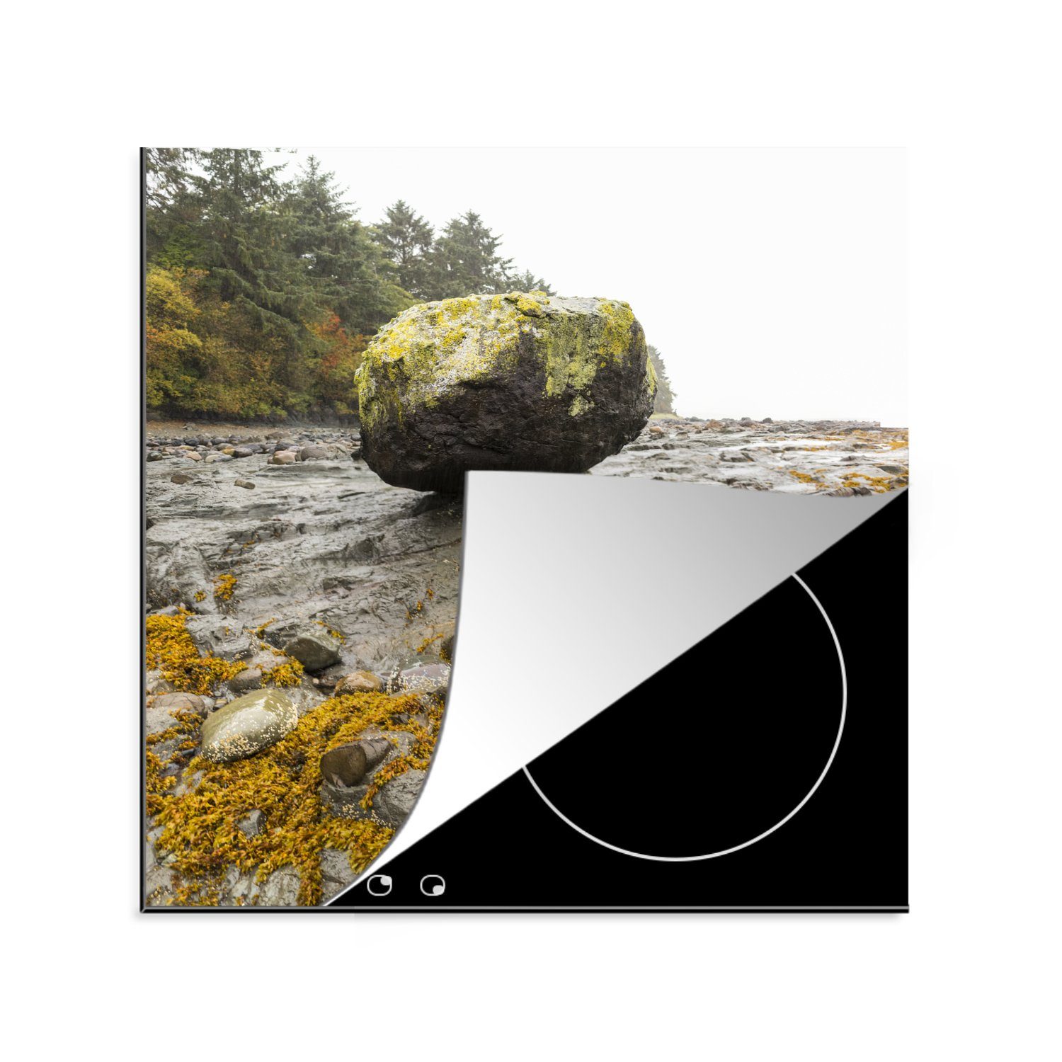 Haida Gwaii Vinyl, küche (1 in Felsen für am Strand MuchoWow tlg), von Arbeitsplatte Herdblende-/Abdeckplatte Ceranfeldabdeckung, Kanada, 78x78 cm,