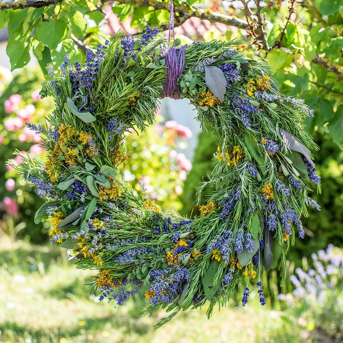 Trockenblume Getrockneter Lavendel Deko Blumen 25cm günstig online kaufen