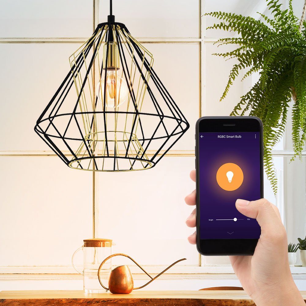 Flur Beleuchtung LED-Leuchte, inklusive, Käfig Farbwechsel, Set Decken Warmweiß, Leuchtmittel Steuerung Lampe Neutralweiß, Kaltweiß, etc-shop Smarte App Hänge im Tageslichtweiß, Handy