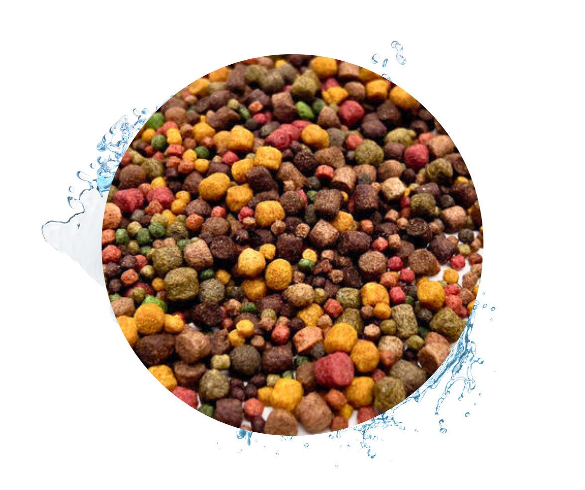 Warnick´s Tierfutterservice Koifutter 8-Sorten Mix mit Spirulina - für erhöhtes Wachstum 3-6mm, Alleinfuttermittel für: Fische, Koi, Zierfische, Teichfische