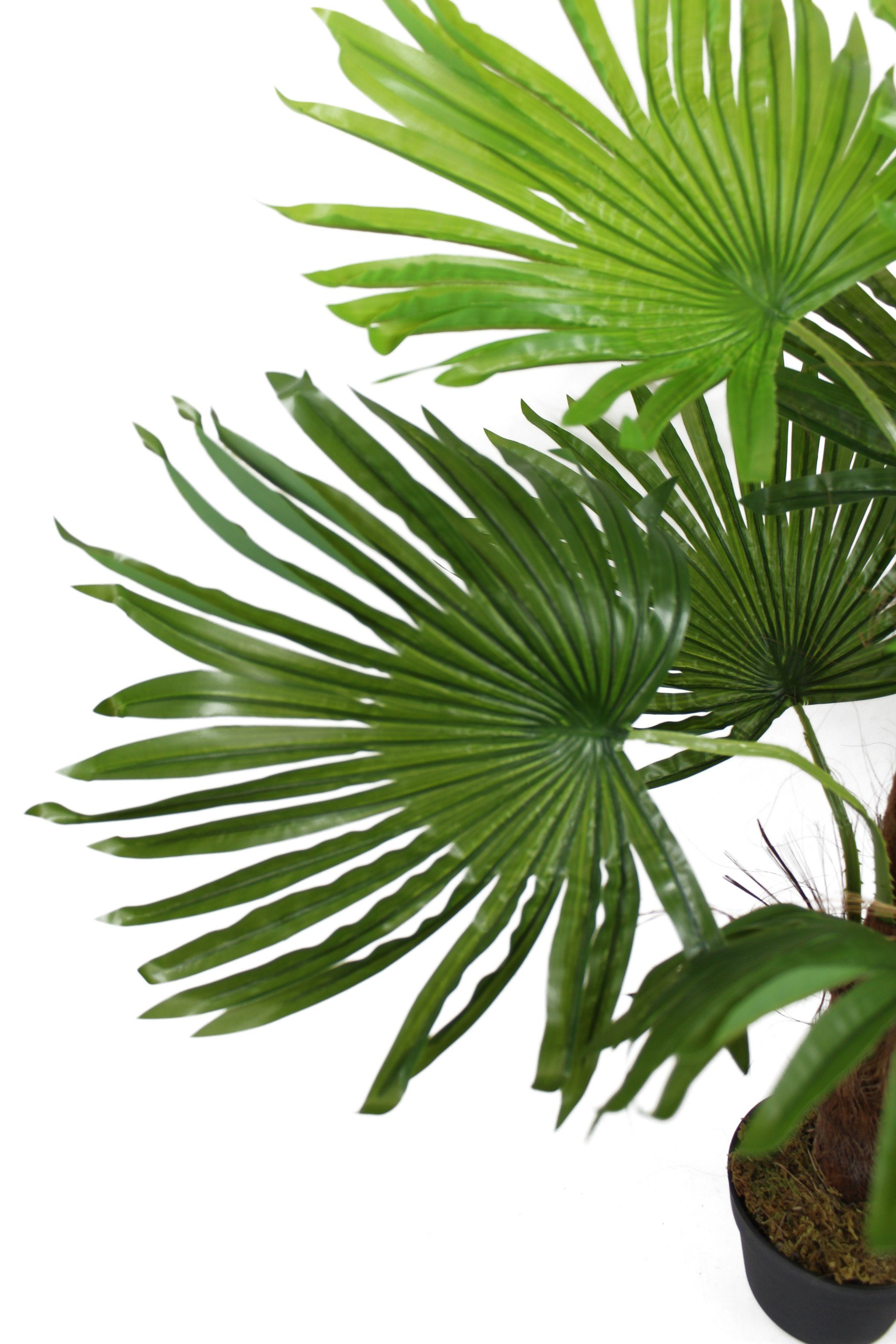 Kunstpalme künstliche Fächerpalme mit 9 Palmenwedel wie echt Kunstpflanze F günstig online kaufen