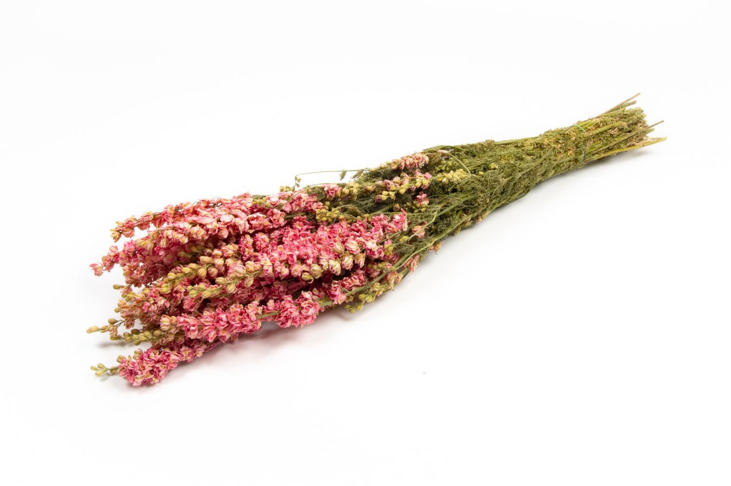 Trockenblume Rittersporn Trockenstrauß AITHANA, rosa-Creme, 70cm, Ø18cm, INNA-Glas, Höhe 70.0 cm