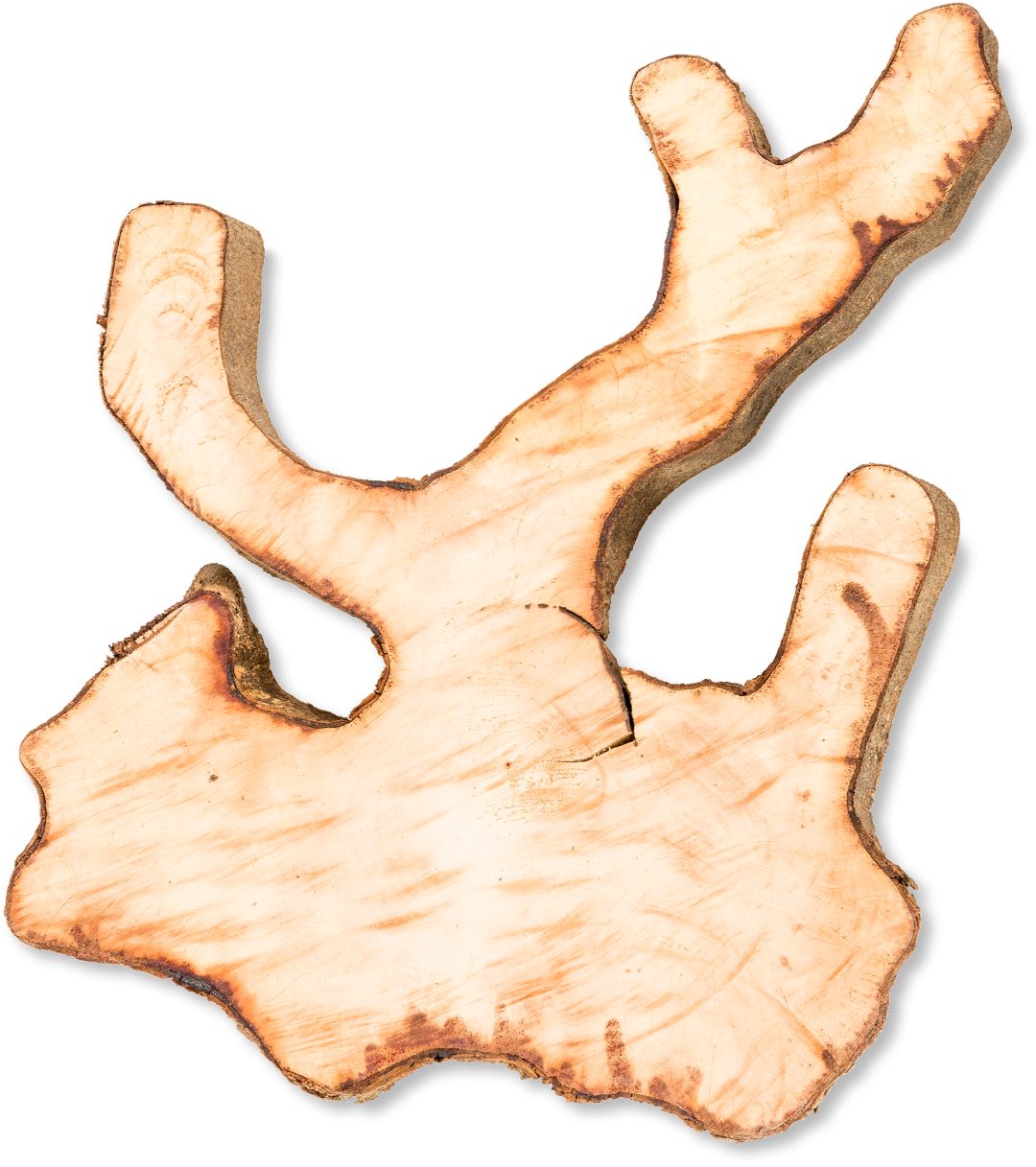 NaDeco Bastelnaturmaterial Ornament Holzscheibe natur ca. 30-40cm Inoca Root