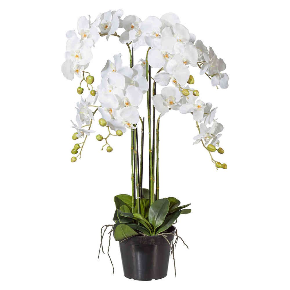 Kunstorchidee Kunstblume PHALENOPSIS Orchidee ca 90cm WEISS. im Kunststofft günstig online kaufen