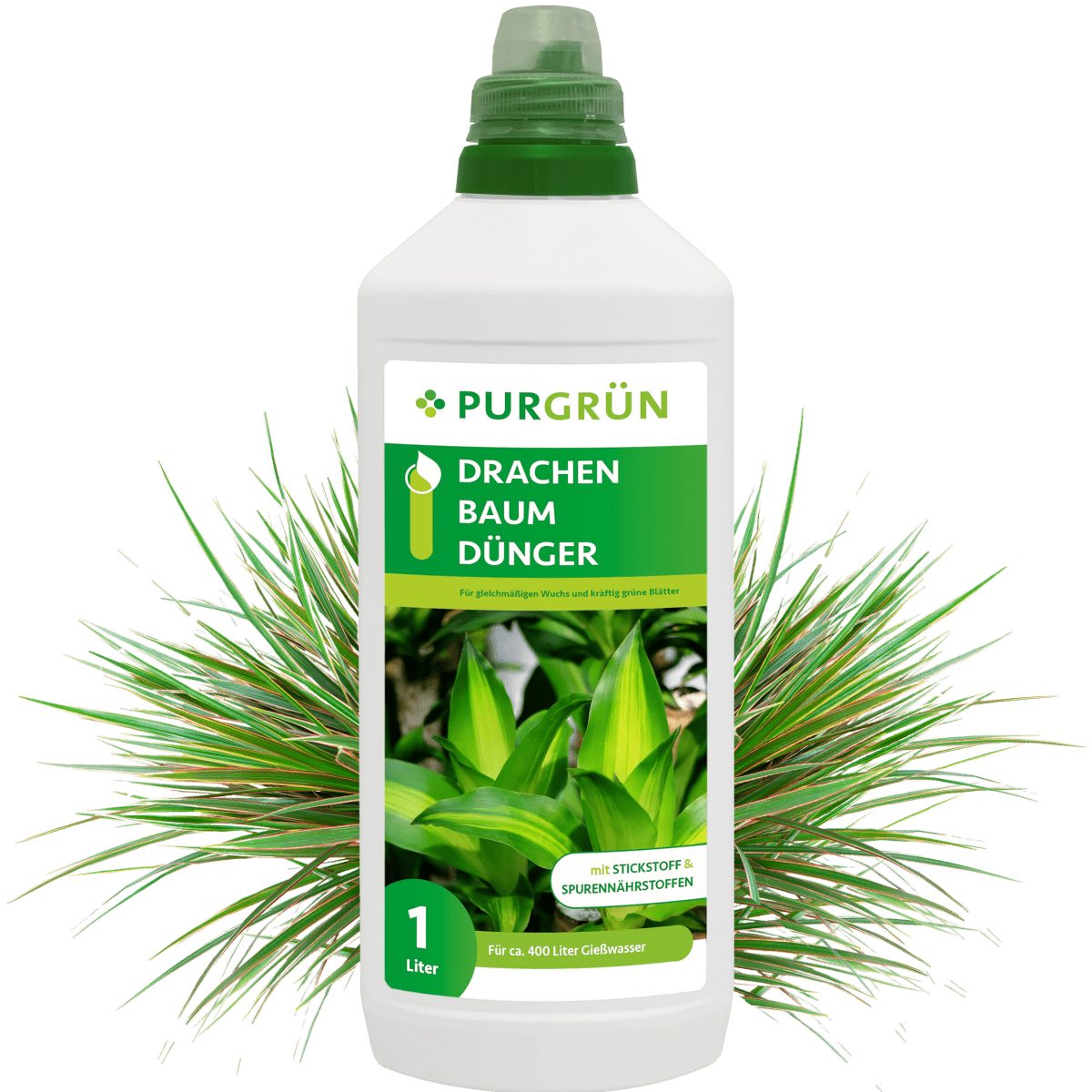 Universaldünger Purgrün Drachenbaum Dünger, NPK 10+4+6, grüne Blätter, 1L