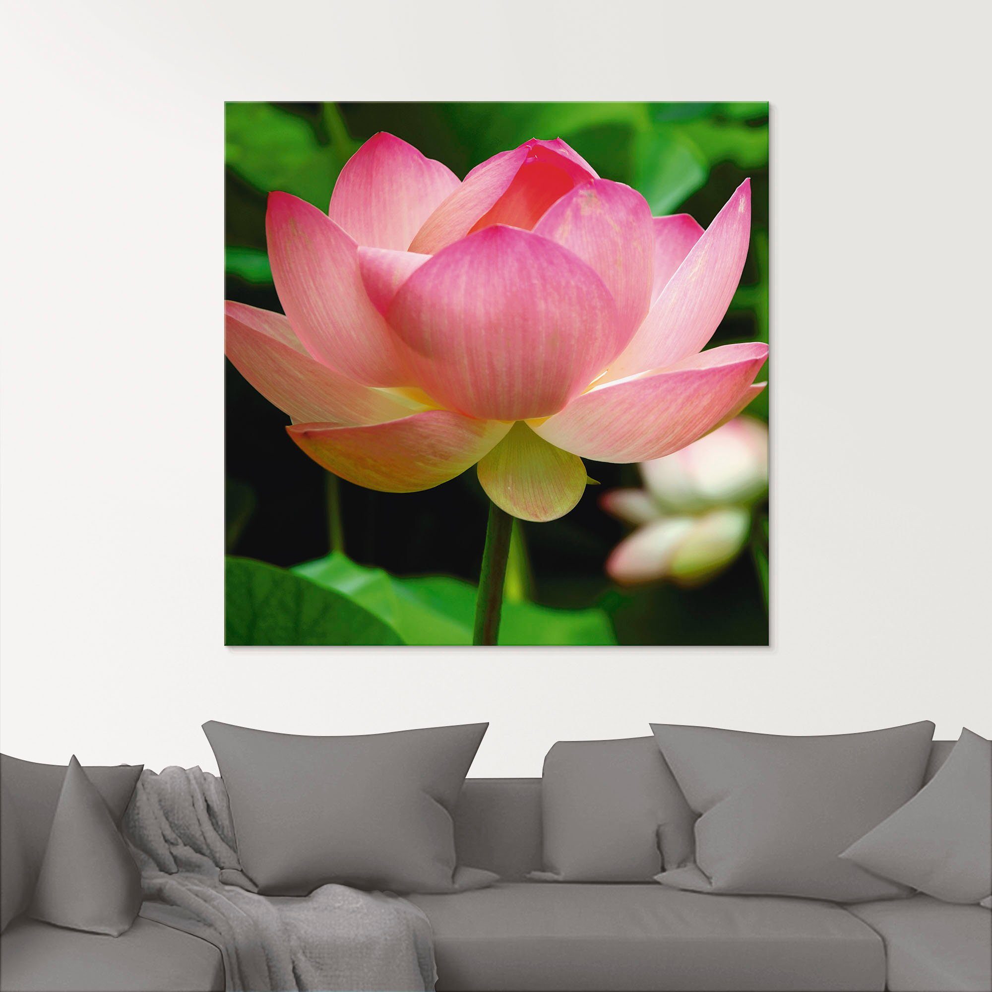 Artland Glasbild Lotus - Seerose, Blumen (1 St), in verschiedenen Größen