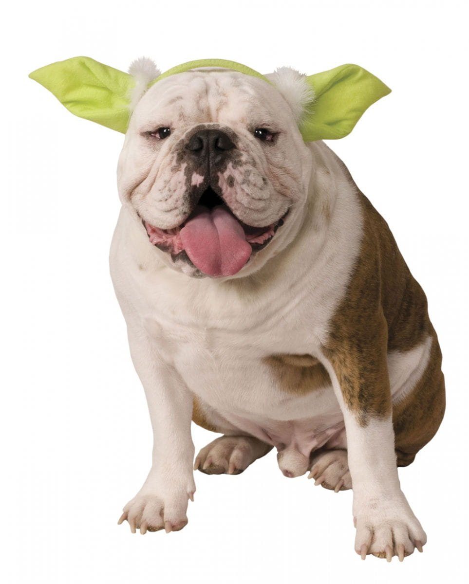 Horror-Shop Kostüm »Star Wars Yoda Ohren als Kostüm Zubehör für Hund &«  online kaufen | OTTO