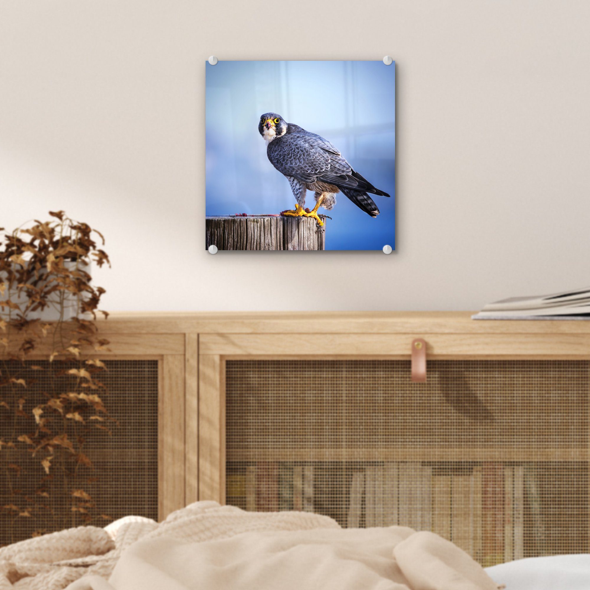 St), Acrylglasbild auf auf dicken Nahaufnahme Holzstange, Glas eines Bilder - - (1 Wandbild - Wanddekoration auf Foto Glasbilder Raubvogels einer Glas MuchoWow
