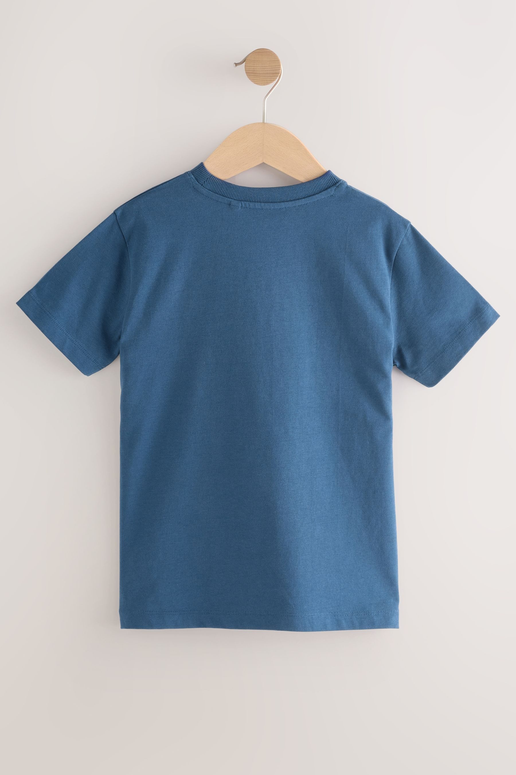 Next T-Shirt T-Shirt in Blockfarben (1-tlg)