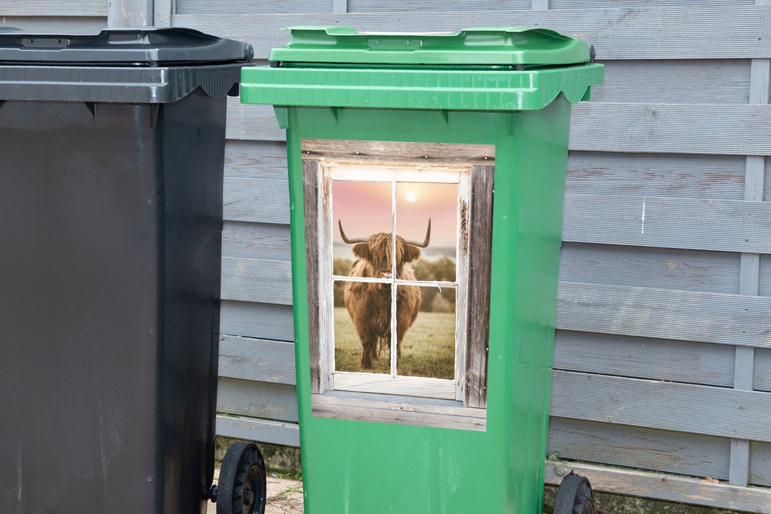 Schottischer Highlander (1 Fenster - MuchoWow Sticker, St), Wandsticker Ansicht - Mülleimer-aufkleber, Mülltonne, Abfalbehälter Container,