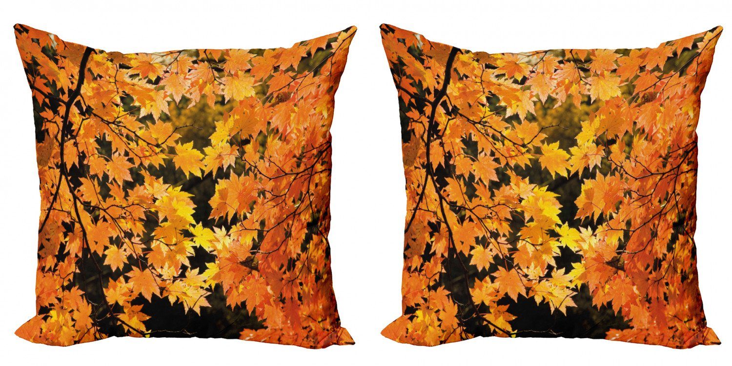 Kissenbezüge Modern Accent Doppelseitiger Digitaldruck, Abakuhaus (2 Stück), Blätter Vivid Herbst-Ahornblätter