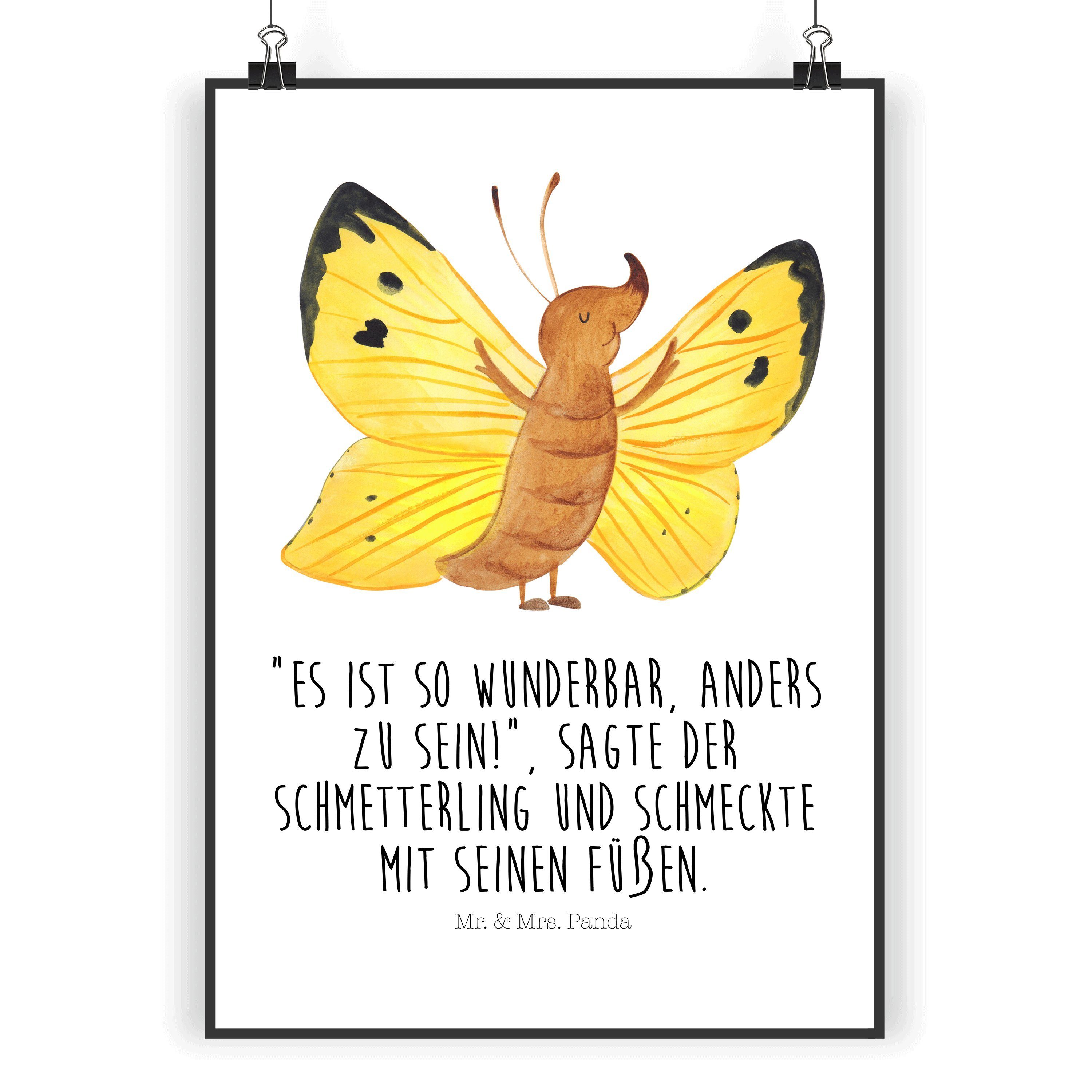 Mr. & Mrs. Panda Poster »Schmetterling Zitronenfalter Weiß Spruch
