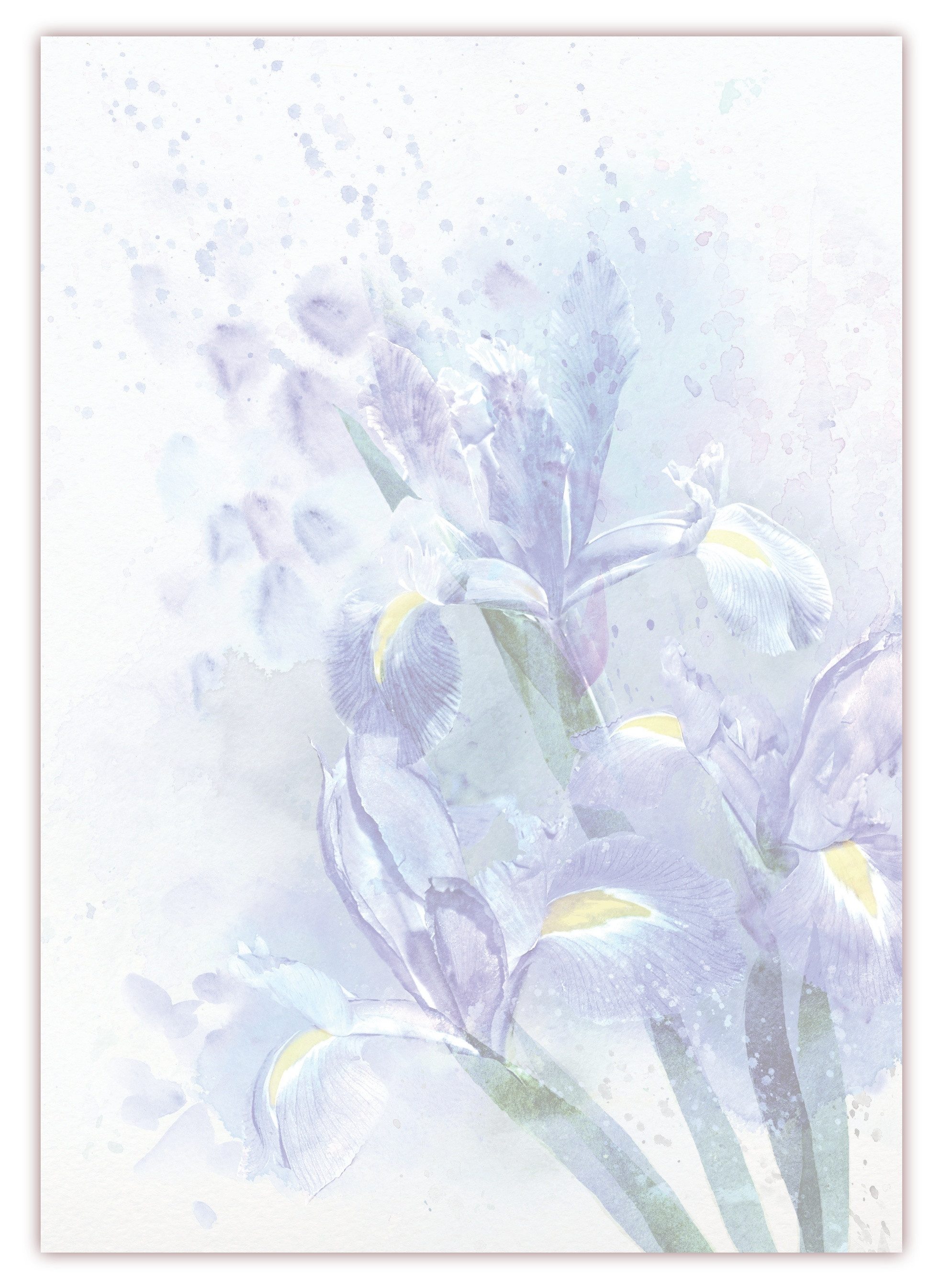 Briefpapier Motivpapier Rosen und Lilien DIN A4, gut beschreibbar