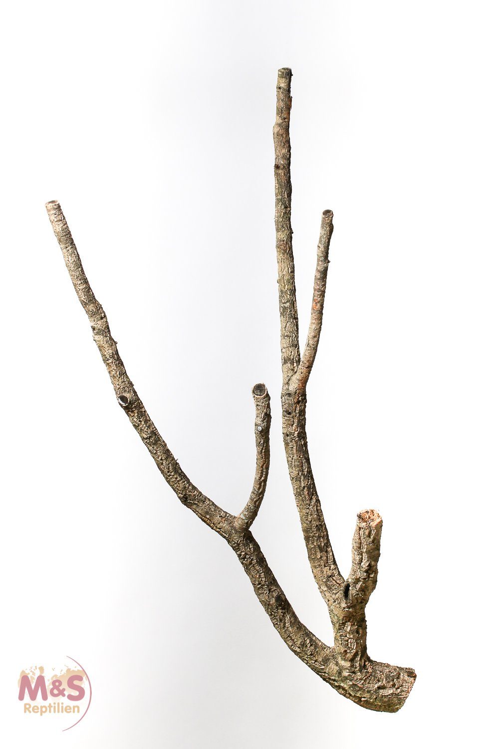 Terrarium Zierkork Tronchos -verzweigt ca.80-100cm (ca.1 kg)