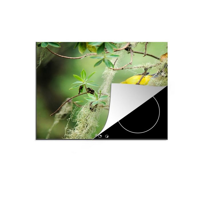 MuchoWow Herdblende-/Abdeckplatte Gelber Philippinenbrillenvogel Vinyl (1 tlg) Mobile Arbeitsfläche nutzbar Ceranfeldabdeckung