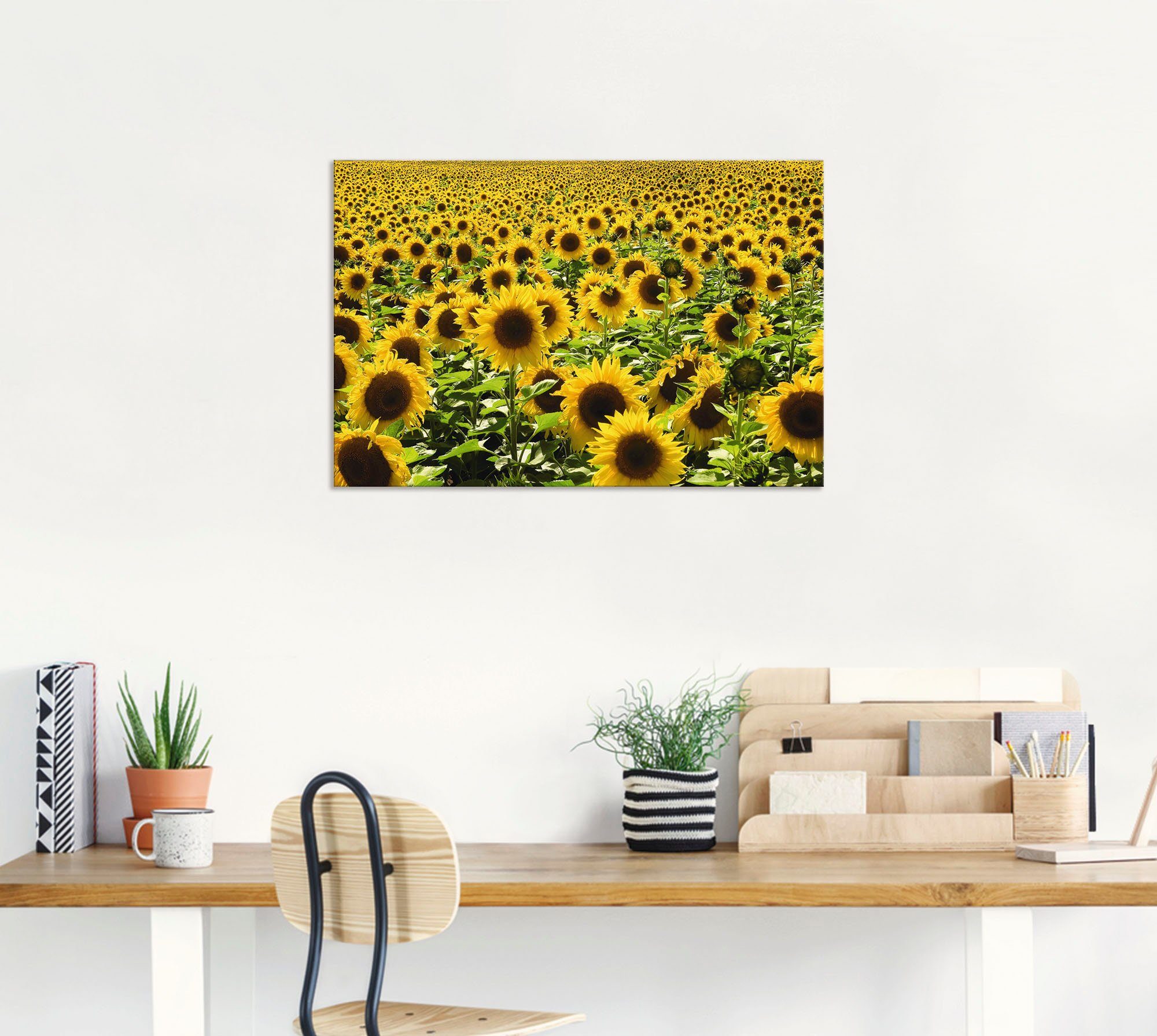 Leinwandbild, als Sonnenblumenfeld, Blumen Poster in (1 Wandbild oder Wandaufkleber versch. Artland St), Alubild, Größen