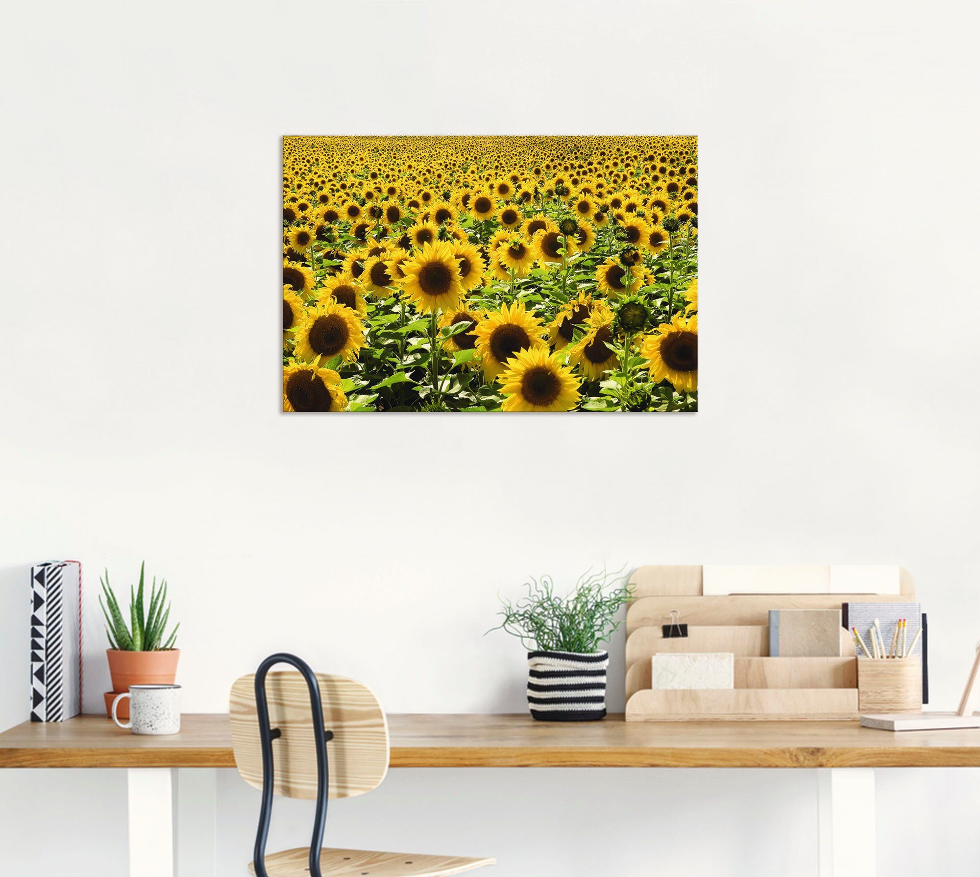 Artland Wandbild Sonnenblumenfeld, Blumen (1 St), als Alubild, Leinwandbild in verschied. Größen