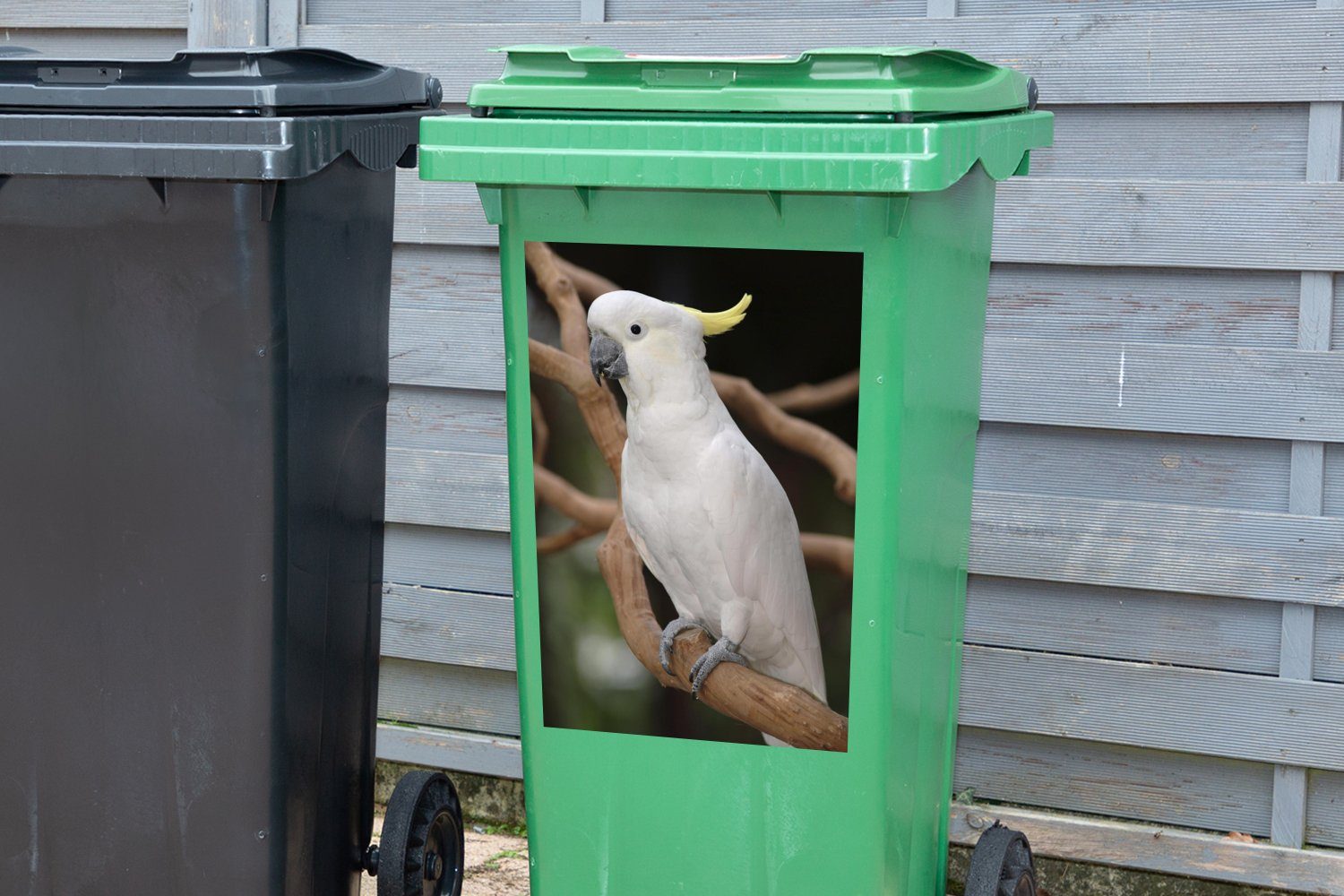 Baum Weißer gelbem Wandsticker einem mit Abfalbehälter Sticker, (1 Kamm Kakadu St), Mülleimer-aufkleber, MuchoWow Container, in Mülltonne,