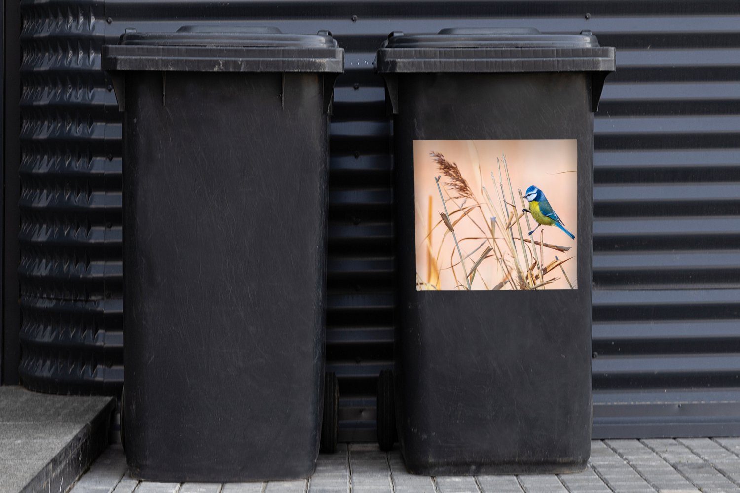 MuchoWow Wandsticker Vogel Sticker, Mülleimer-aufkleber, St), - Schilf Blaumeise Abfalbehälter (1 Container, - Mülltonne