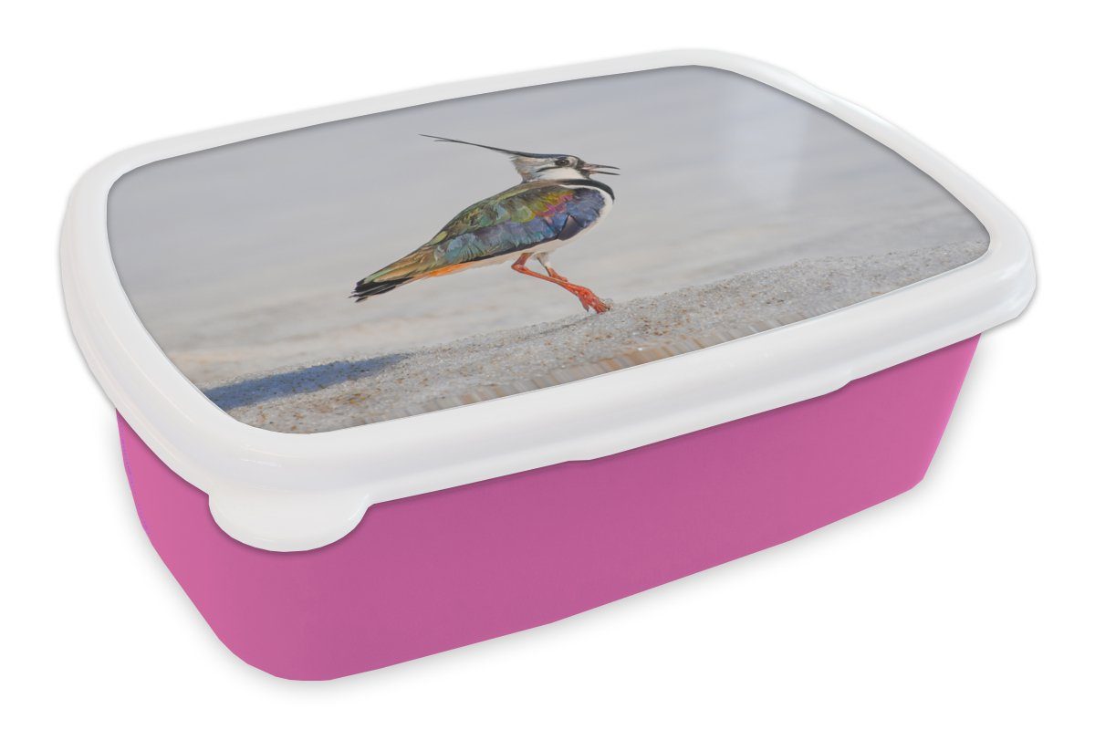 MuchoWow Lunchbox Vogel - Tiere - Sand - Kiebitz, Kunststoff, (2-tlg), Brotbox für Erwachsene, Brotdose Kinder, Snackbox, Mädchen, Kunststoff rosa