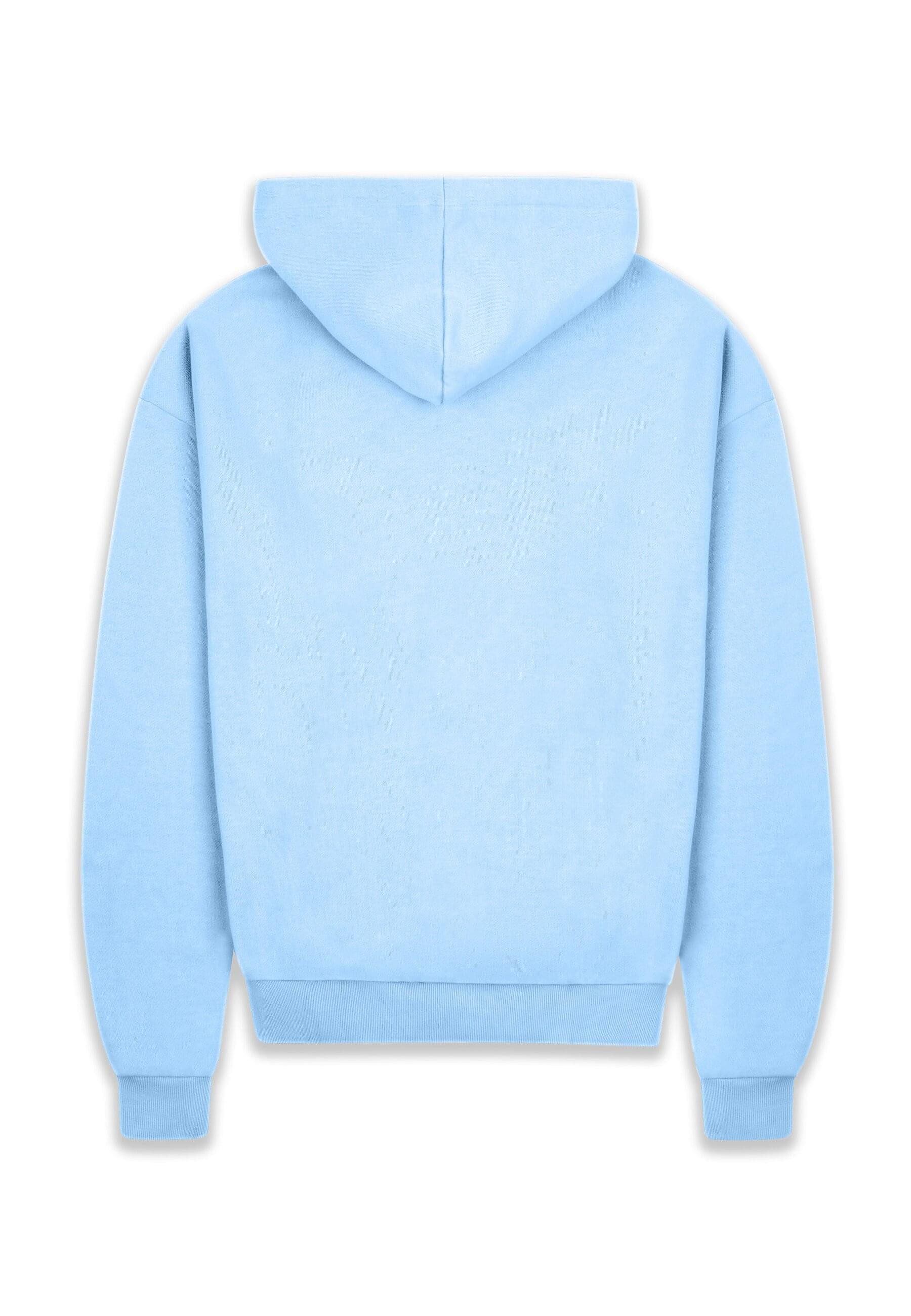 Dropsize Kapuzensweatshirt Dropsize Herren Super Heavy günstig online kaufen