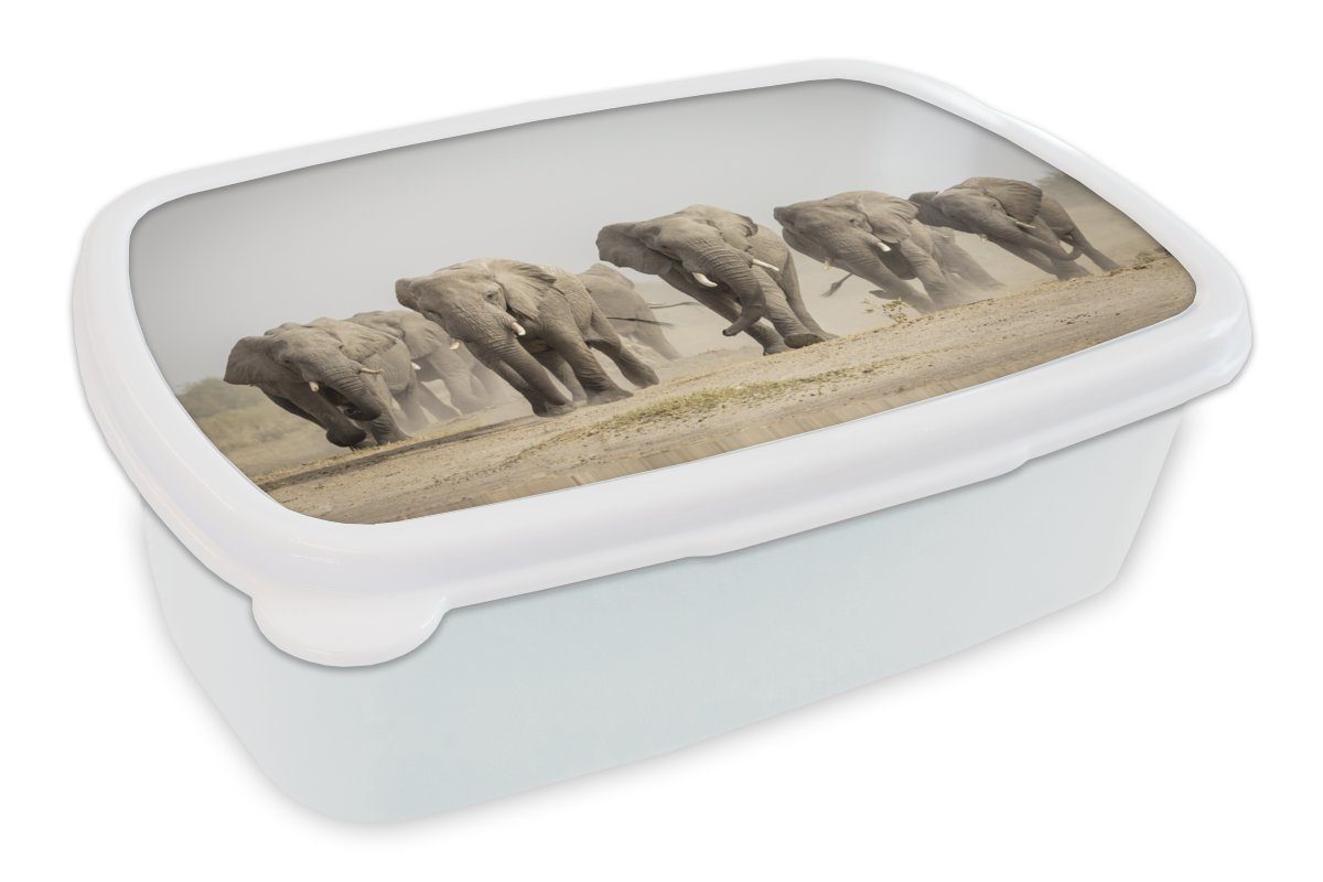 MuchoWow Lunchbox Elefant - Afrikanisch - Stoff, Kunststoff, (2-tlg), Brotbox für Kinder und Erwachsene, Brotdose, für Jungs und Mädchen weiß