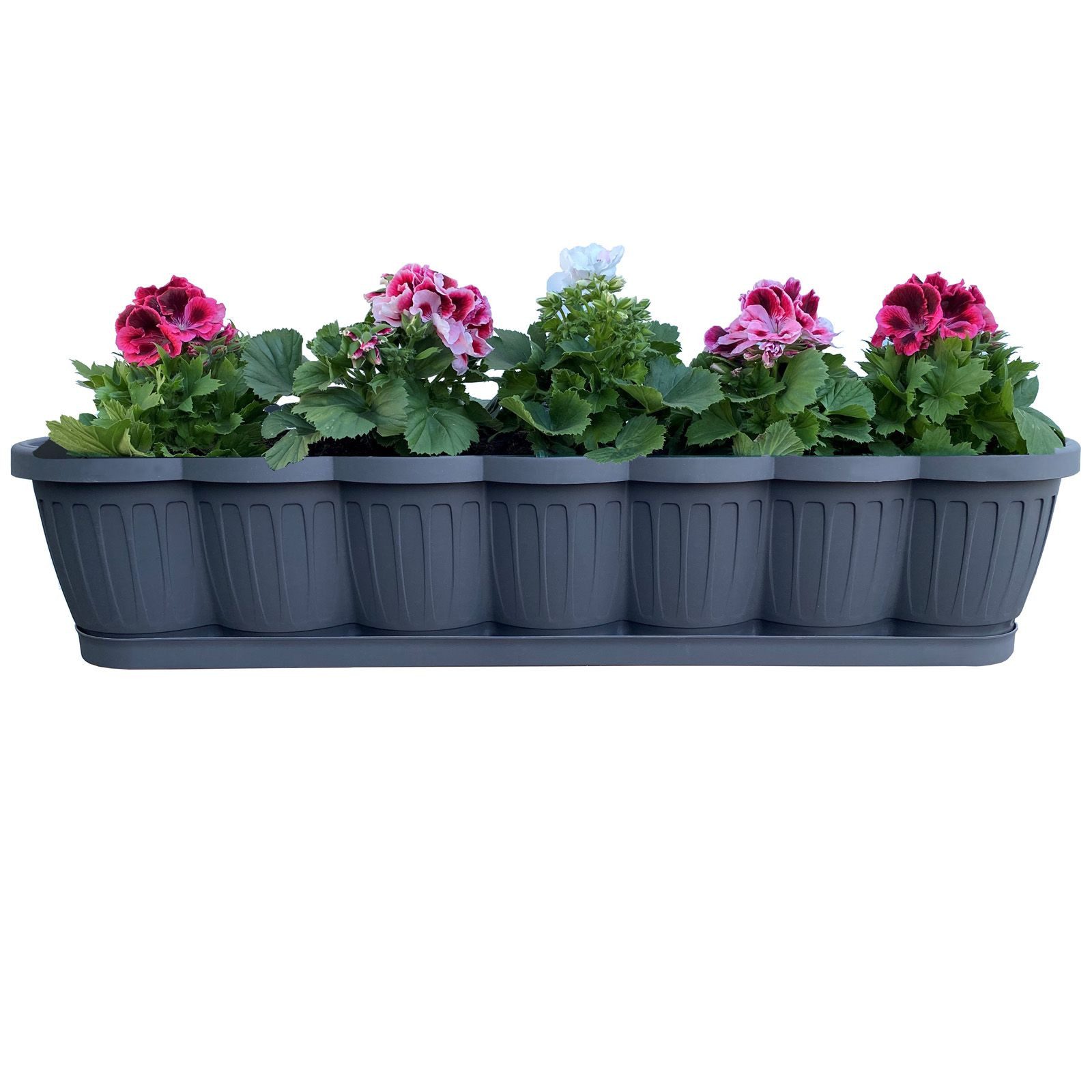 BURI Blumenkasten 1er Set 80cm Blumenkasten Pflanzkasten Anthrazit mit Bewässerung