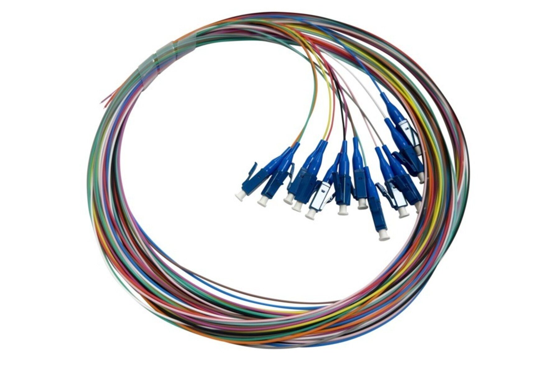 Televes Televes Pigtail-Patchkabel SM 2m O12LCUPC2 Netzwerk-Patch-Panel