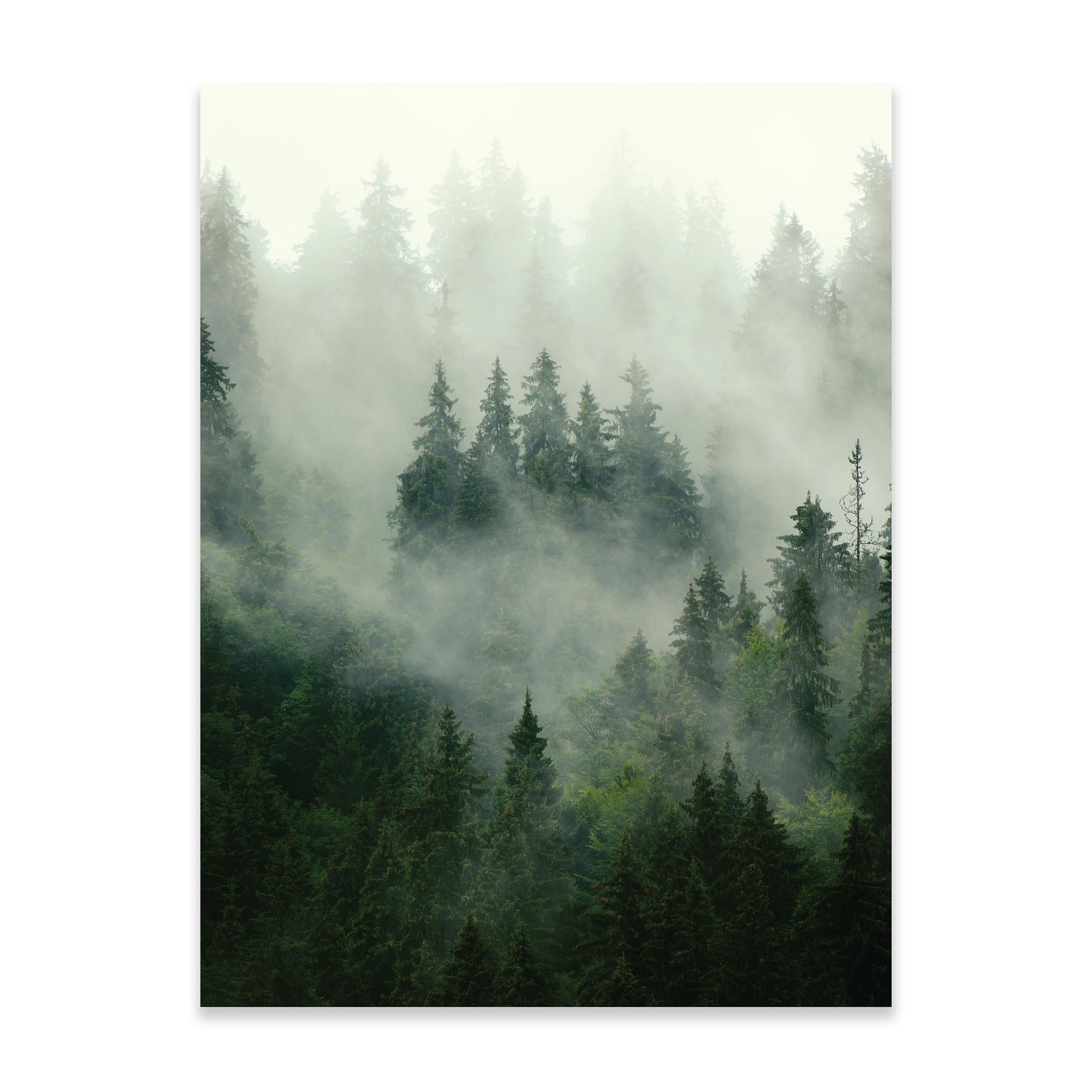 PREMIUM zur RAHMEN 70x100 Schlafzimmer Wandbild Auswahl: Wohnzimmer XXL, cm cm Wallarena 1 Natur St), POSTER, Kunstdruck Wald Wald 50x70 / (OHNE cm / Grün Größen Poster 30x40