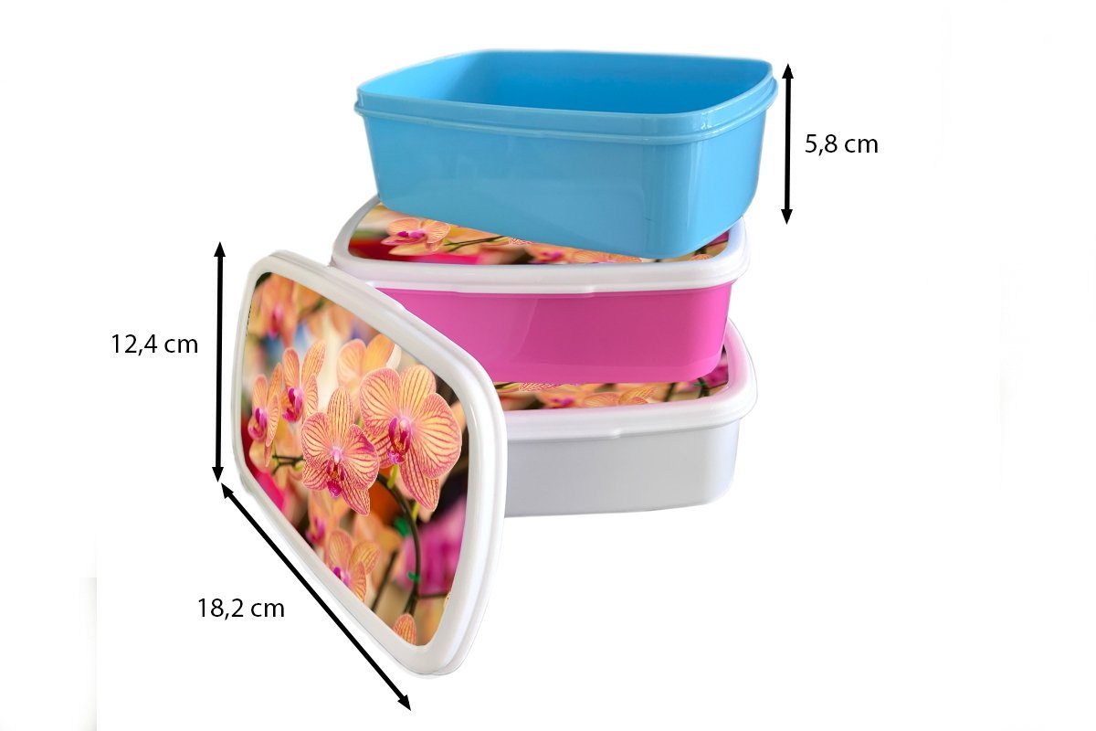 Blumen Rosa - - und Kunststoff, Jungs MuchoWow Pflanze Brotdose, für Kinder Mädchen für Flora, Erwachsene, Lunchbox Orchidee weiß und Brotbox (2-tlg), - -