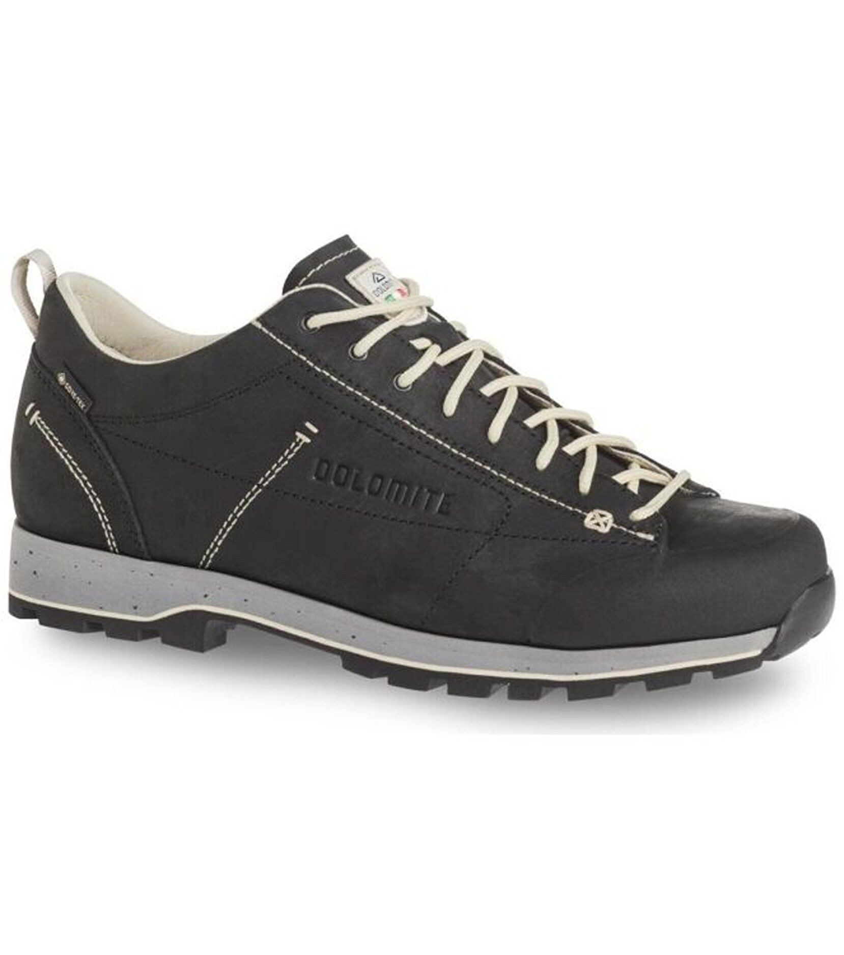 Dolomite Low GTX EVO Outdoorschuh
